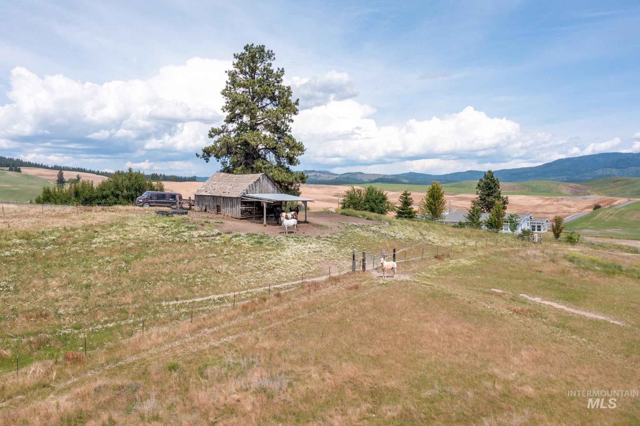 1411 E Freeze Rd, Potlatch, Idaho 83855-9750, 2 Bedrooms, 3 Bathrooms, Residential For Sale, Price $629,000,MLS 98902146