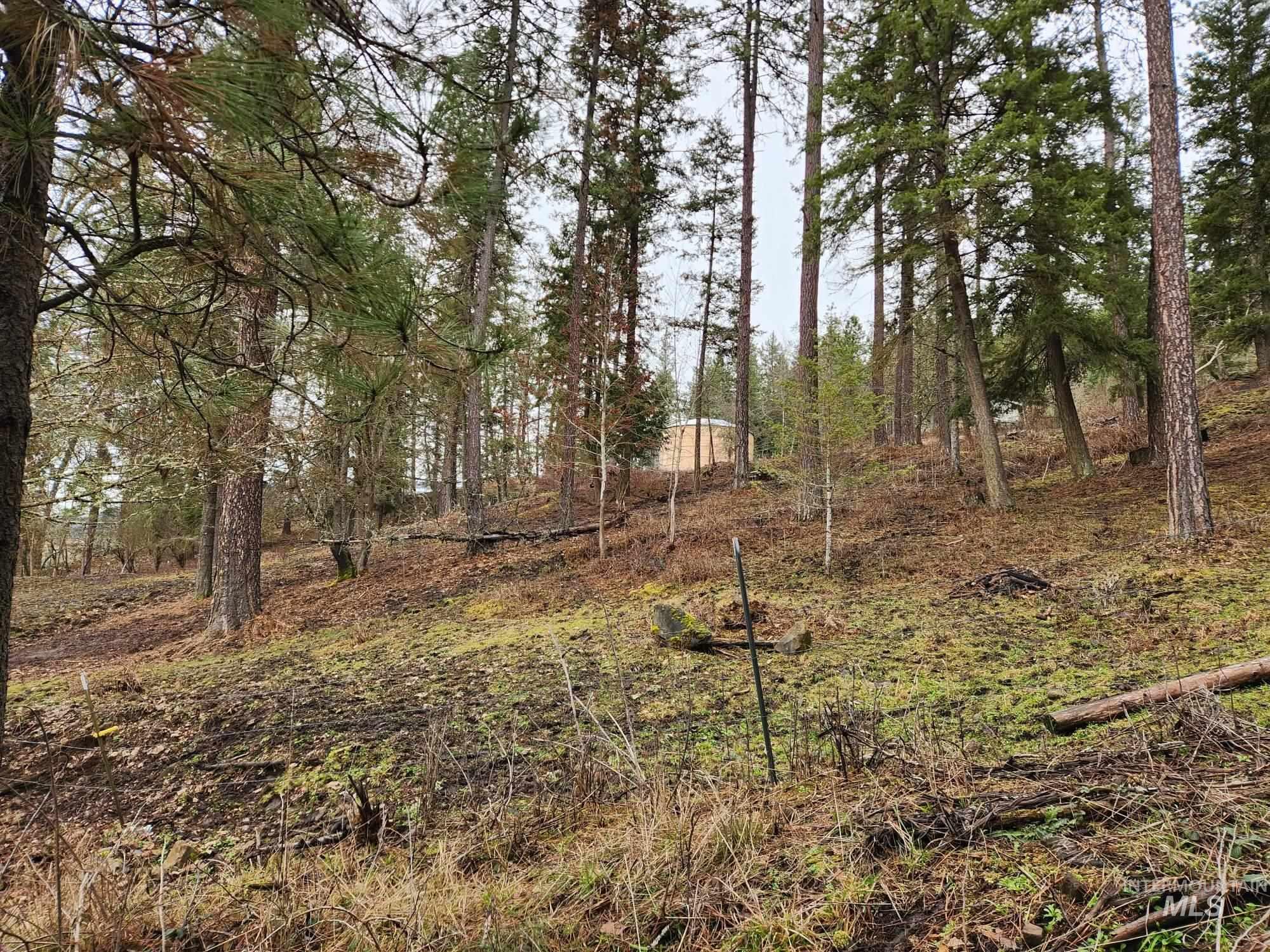 TBD Elwood St Parcel A, Peck, Idaho 83545, Land For Sale, Price $80,000, 98902241
