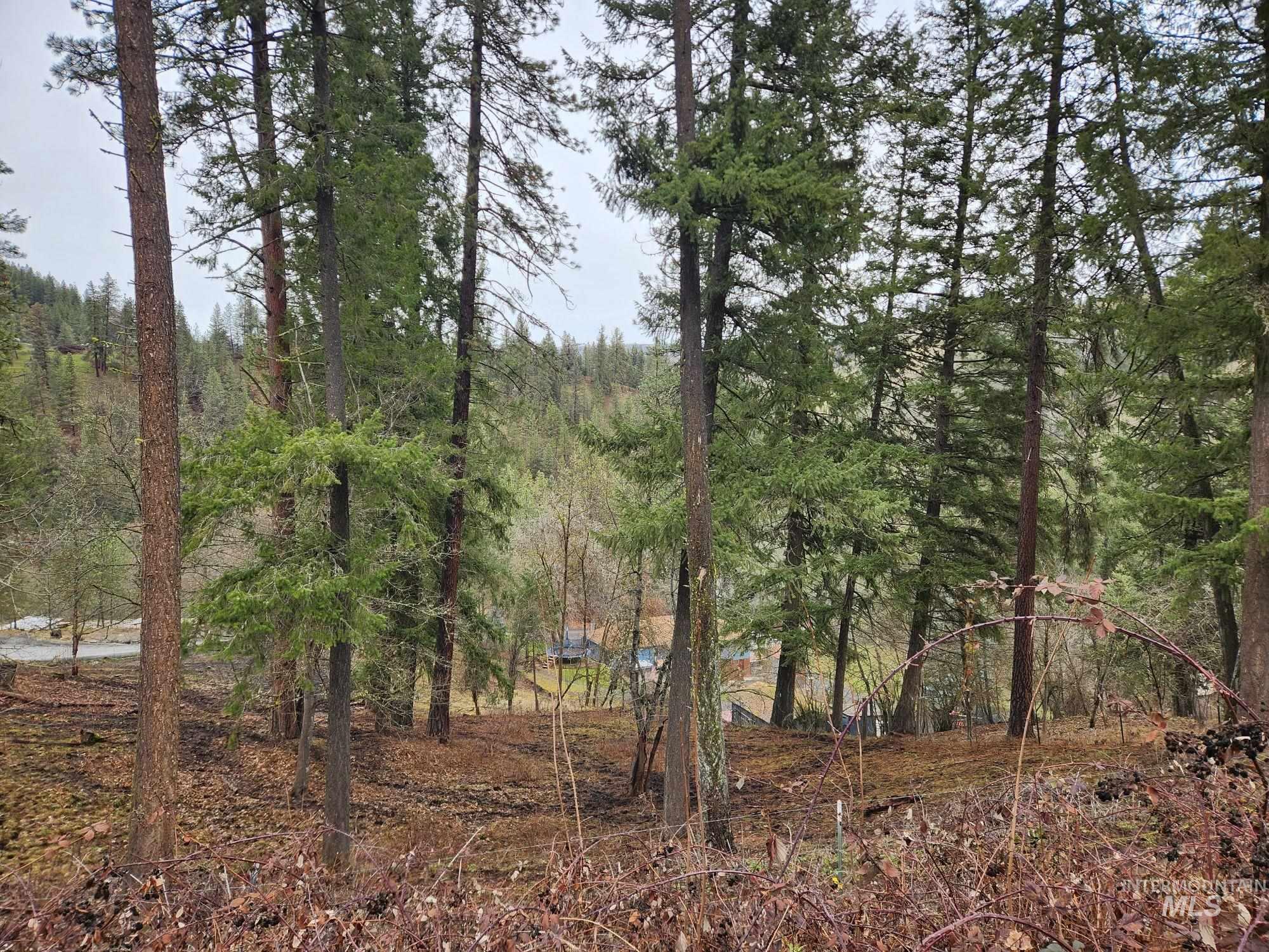 TBD Elwood St Parcel A, Peck, Idaho 83545, Land For Sale, Price $80,000, 98902241