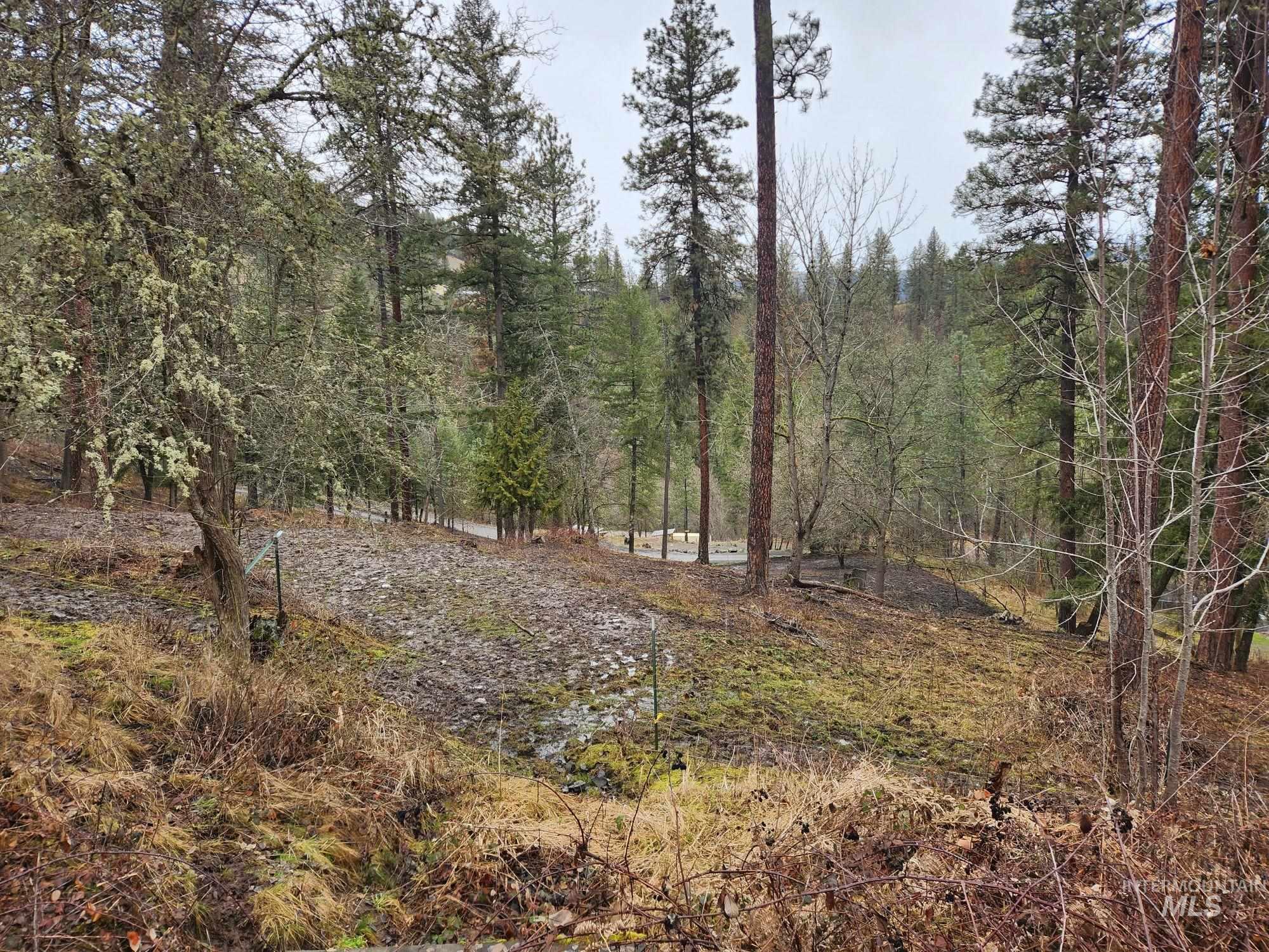 TBD Elwood St Parcel B, Peck, Idaho 83545, Land For Sale, Price $80,000, 98902242