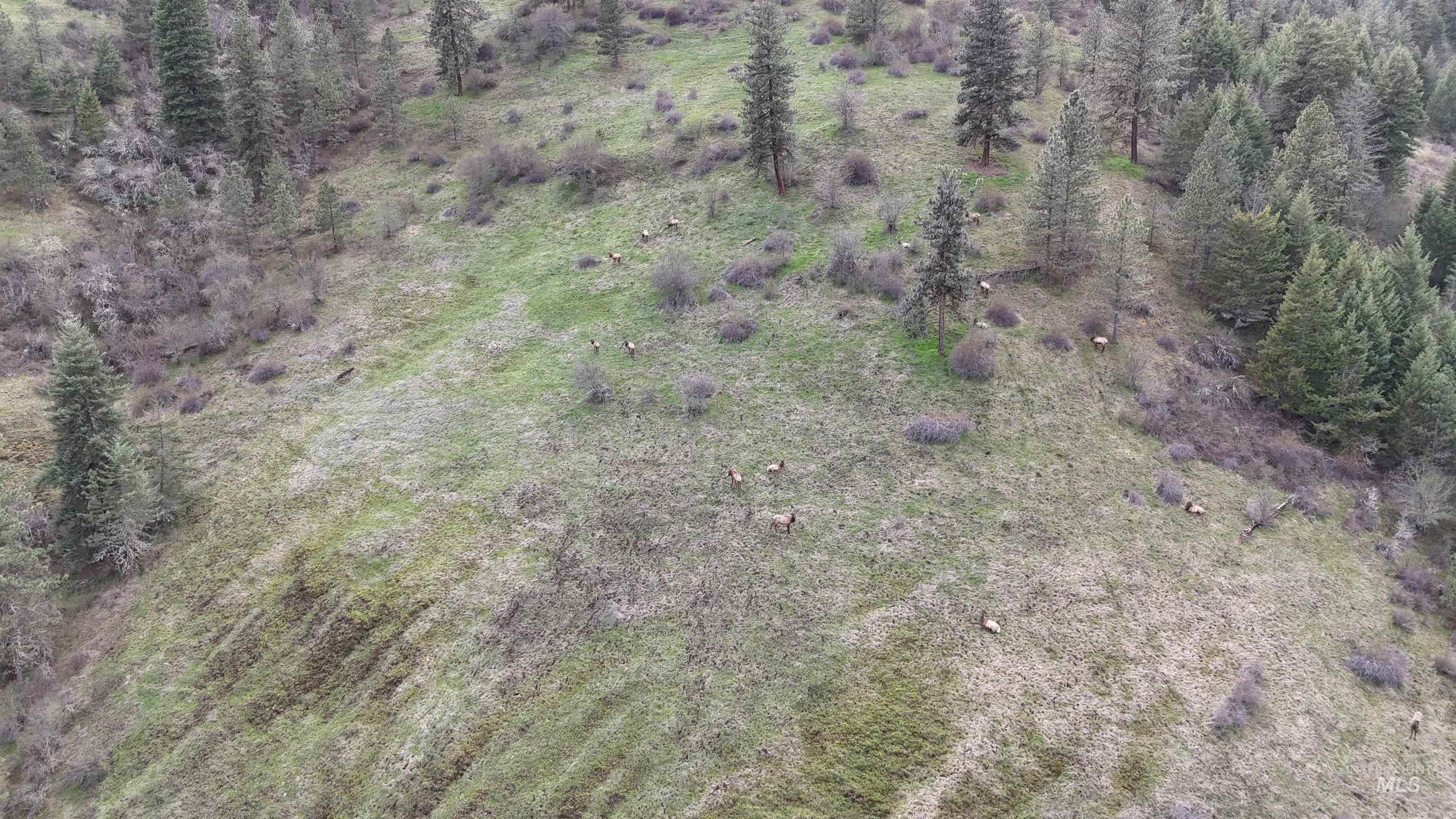 259 Cottonwood Creek Road, Stites, Idaho 83552-5096, 4 Bedrooms, 2 Bathrooms, Farm & Ranch For Sale, Price $2,700,000, 98902828