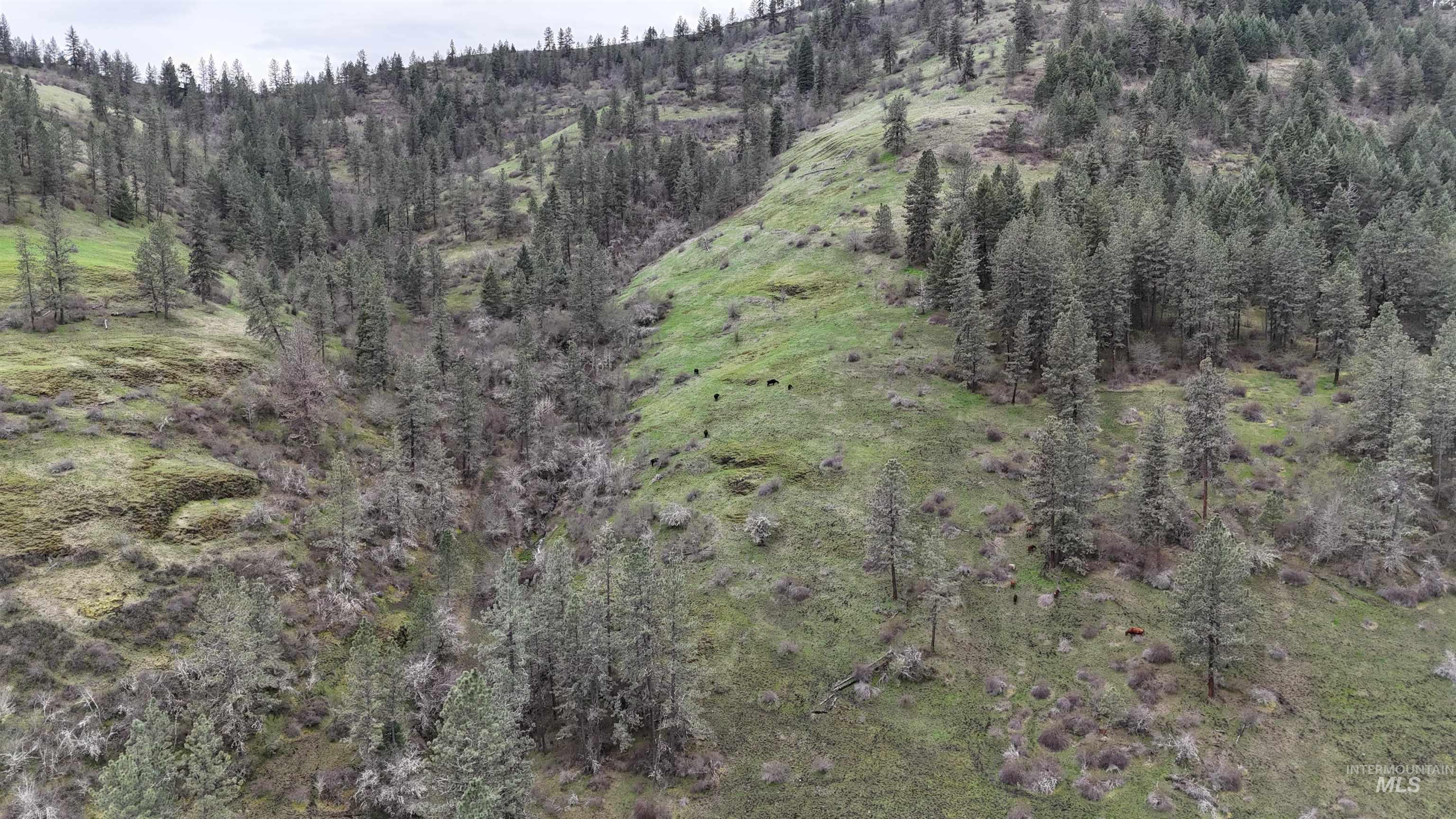 259 Cottonwood Creek Road, Stites, Idaho 83552-5096, 4 Bedrooms, 2 Bathrooms, Farm & Ranch For Sale, Price $2,700,000, 98902828