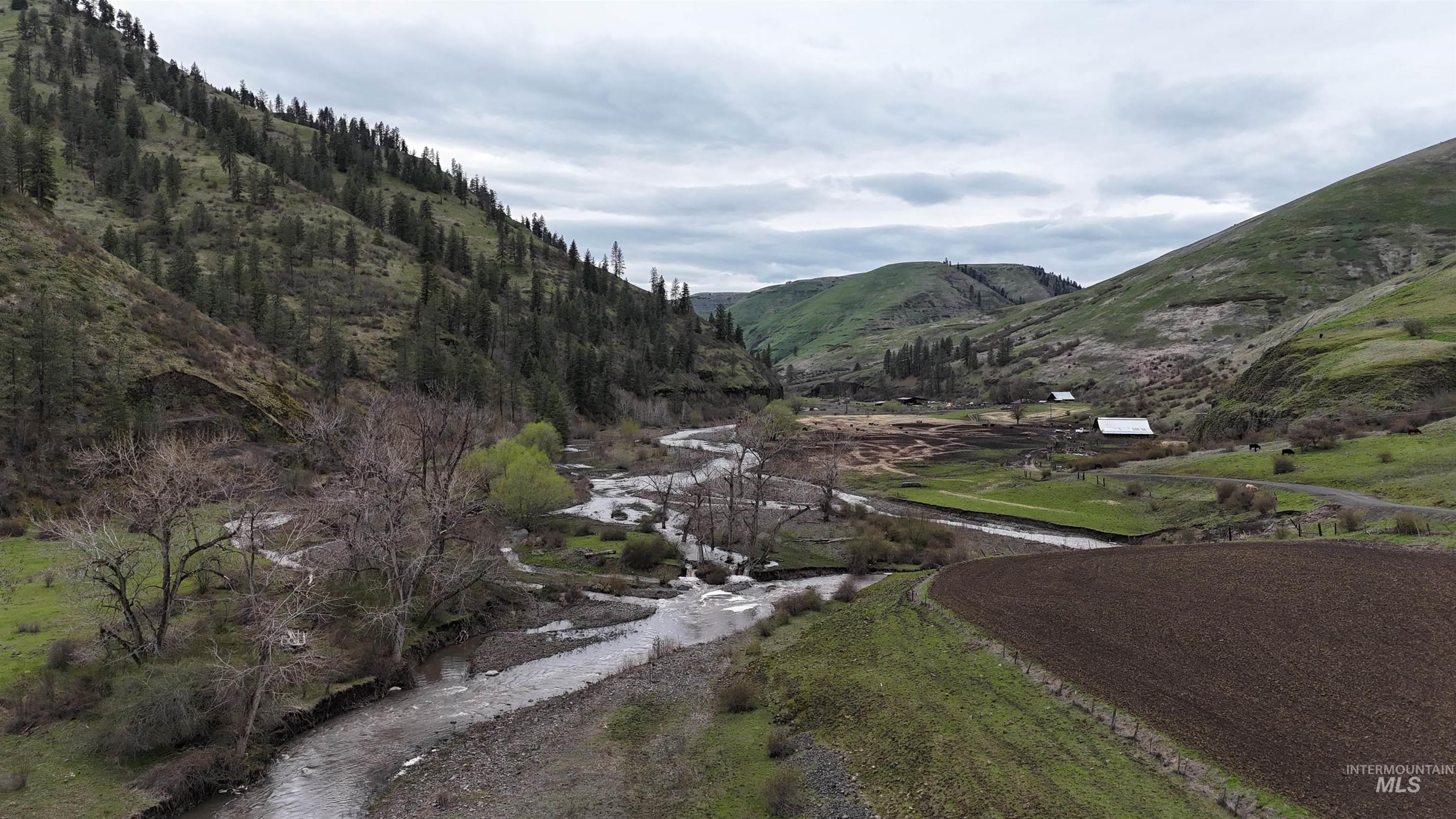 259 Cottonwood Creek Road, Stites, Idaho 83552-5096, 4 Bedrooms, 2 Bathrooms, Farm & Ranch For Sale, Price $2,700,000, 98902828