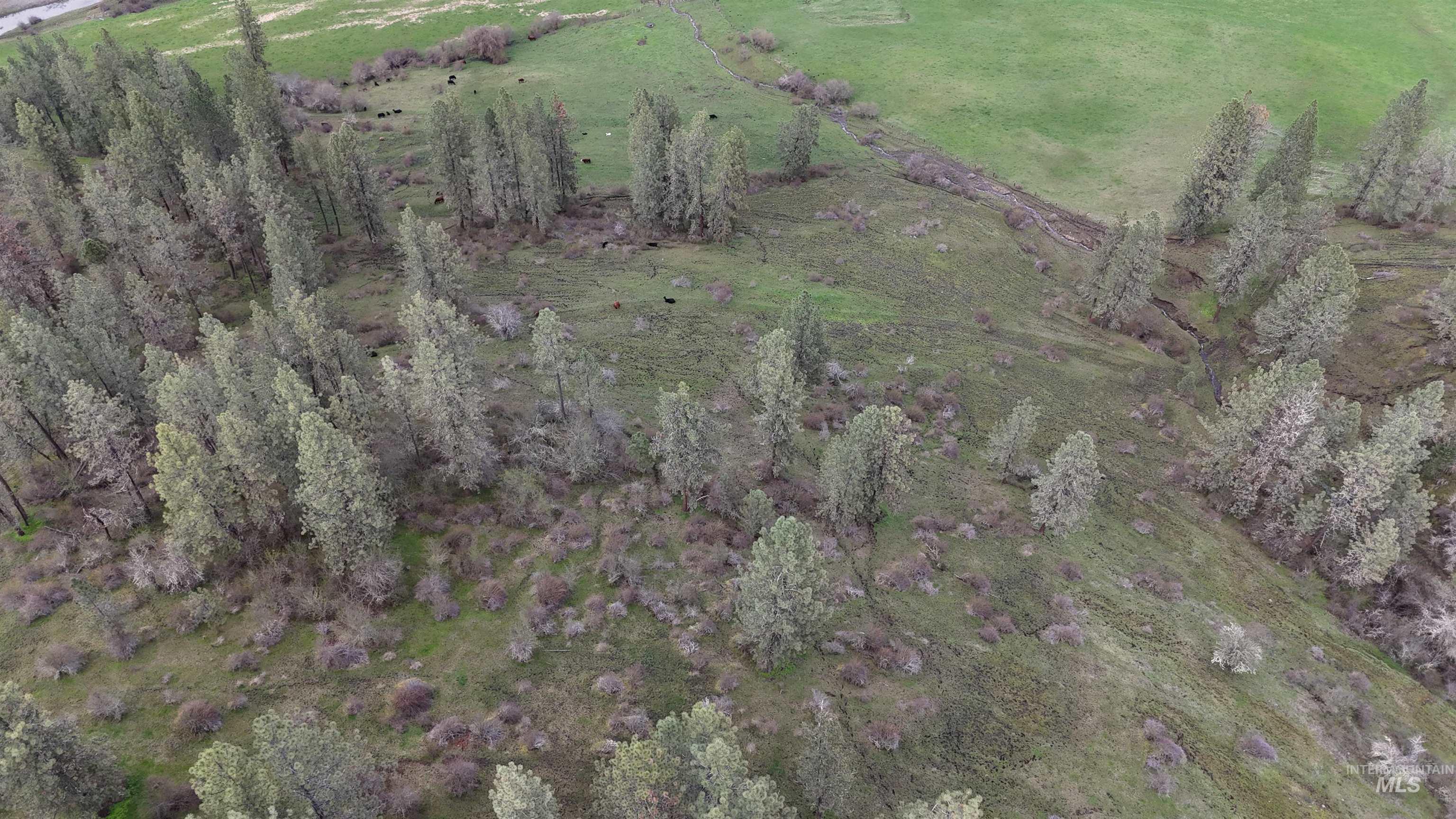 259 Cottonwood Creek Road, Stites, Idaho 83552-5096, 4 Bedrooms, 2 Bathrooms, Farm & Ranch For Sale, Price $2,700,000, 98902828