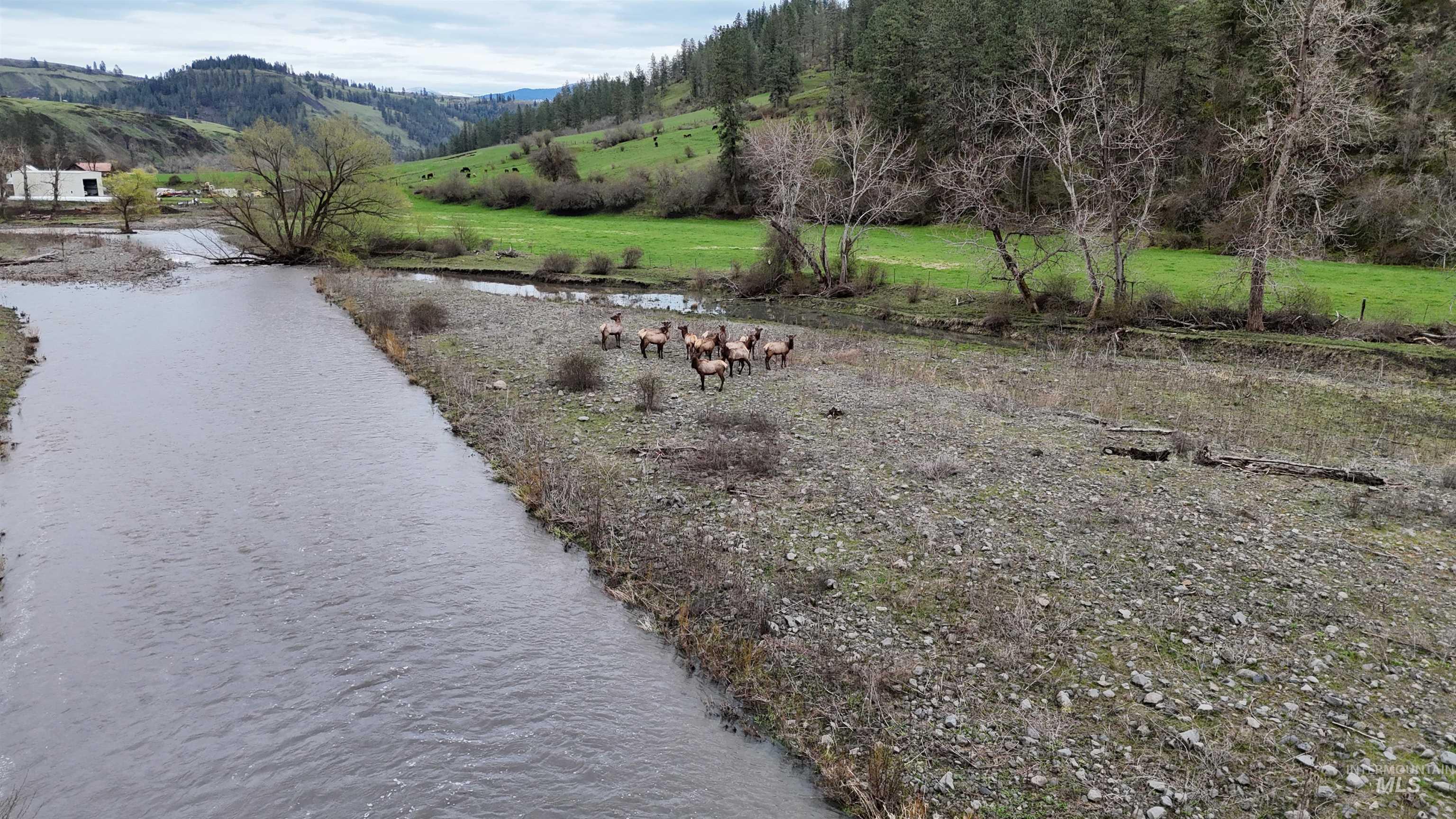 259 Cottonwood Creek Road, Stites, Idaho 83552-5096, 4 Bedrooms, 2 Bathrooms, Farm & Ranch For Sale, Price $2,700,000, 98902828