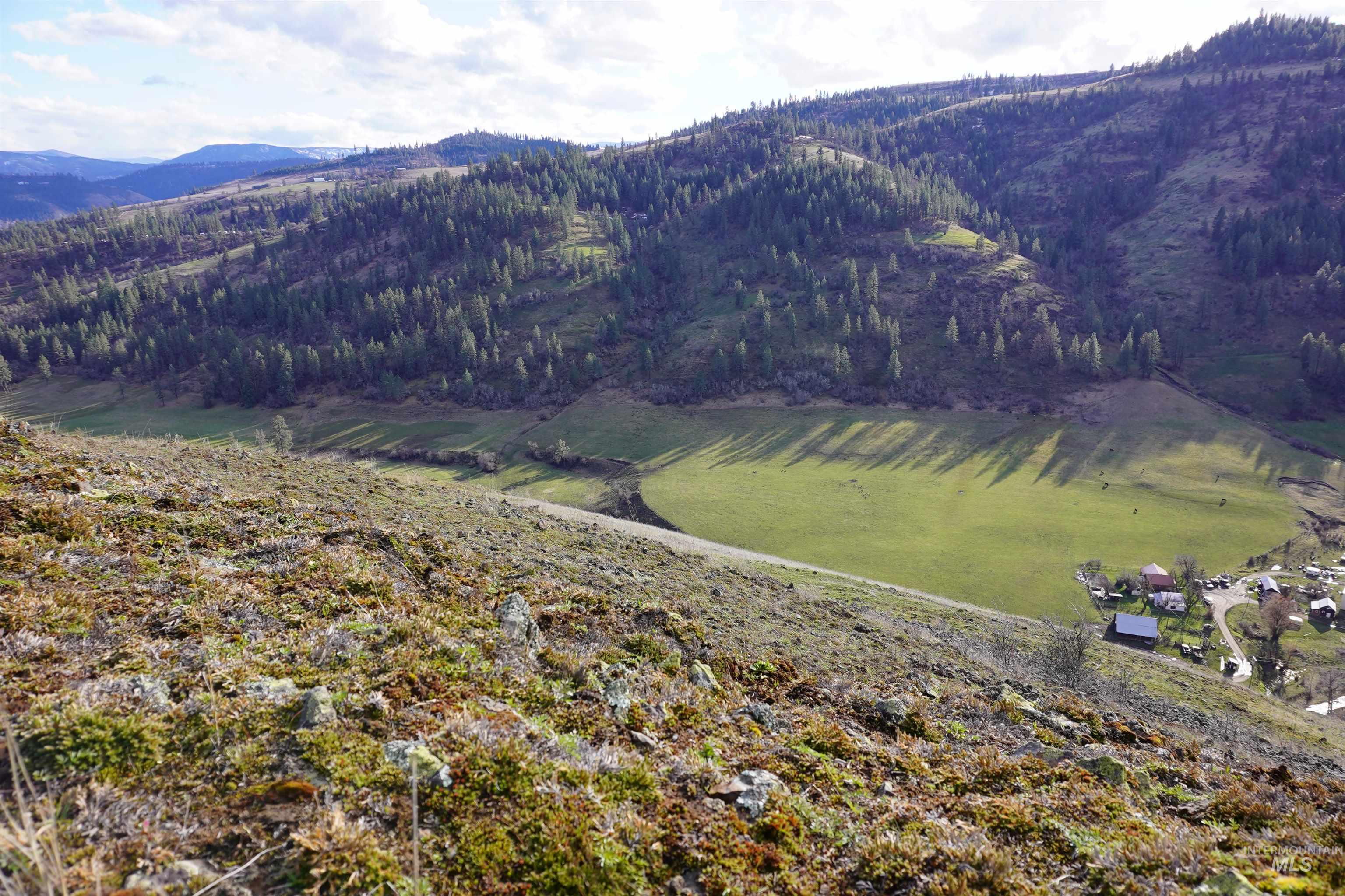 259 Cottonwood Creek Road, Stites, Idaho 83552-5096, 4 Bedrooms, 2 Bathrooms, Farm & Ranch For Sale, Price $2,700,000,MLS 98902828