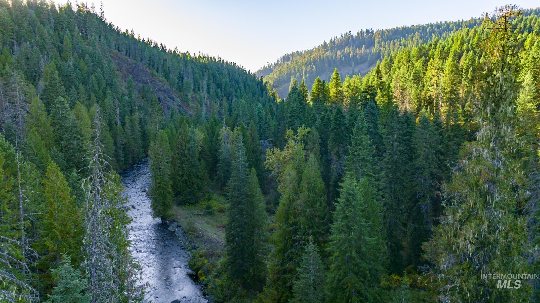 36.5 acres of 5856 Lacey Meadows Rd, Weippe, Idaho 83553, Land For Sale, Price $410,000, 98903007