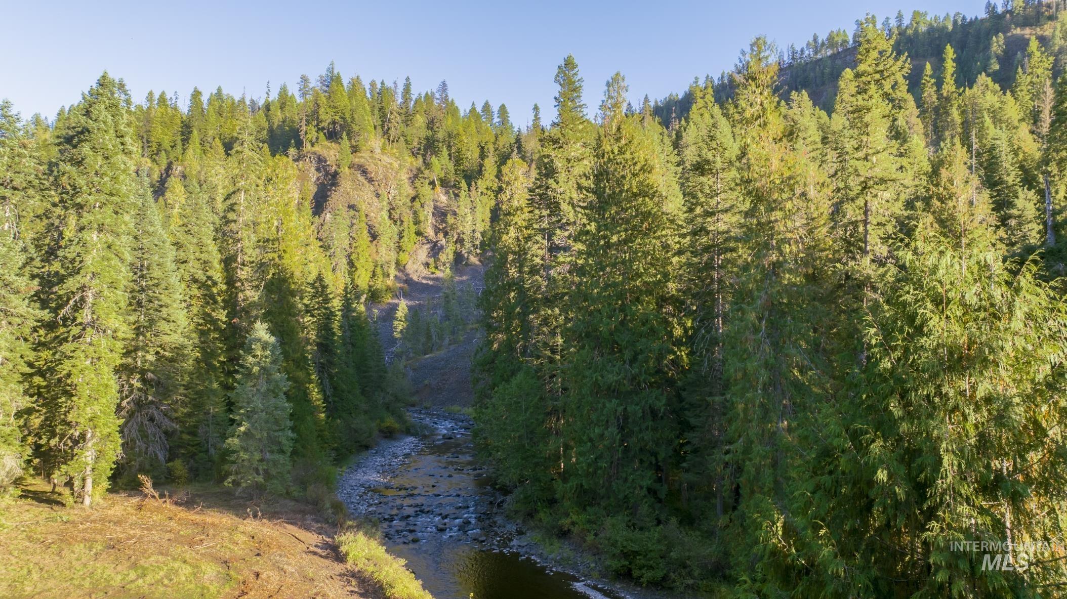 36.5 acres of 5856 Lacey Meadows Rd, Weippe, Idaho 83553, Land For Sale, Price $410,000, 98903007