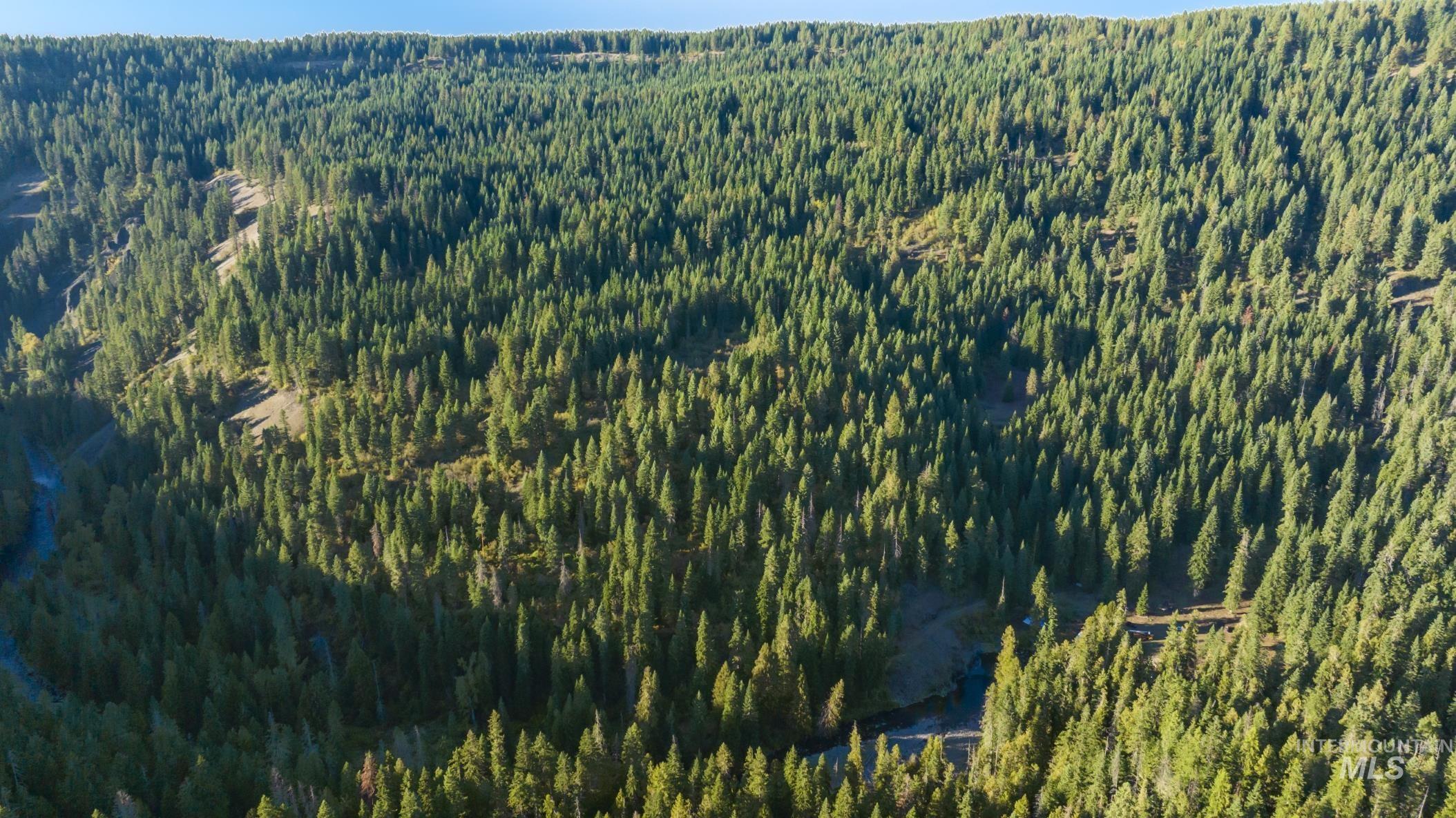 36.5 acres of 5856 Lacey Meadows Rd, Weippe, Idaho 83553, Land For Sale, Price $410,000, 98903007