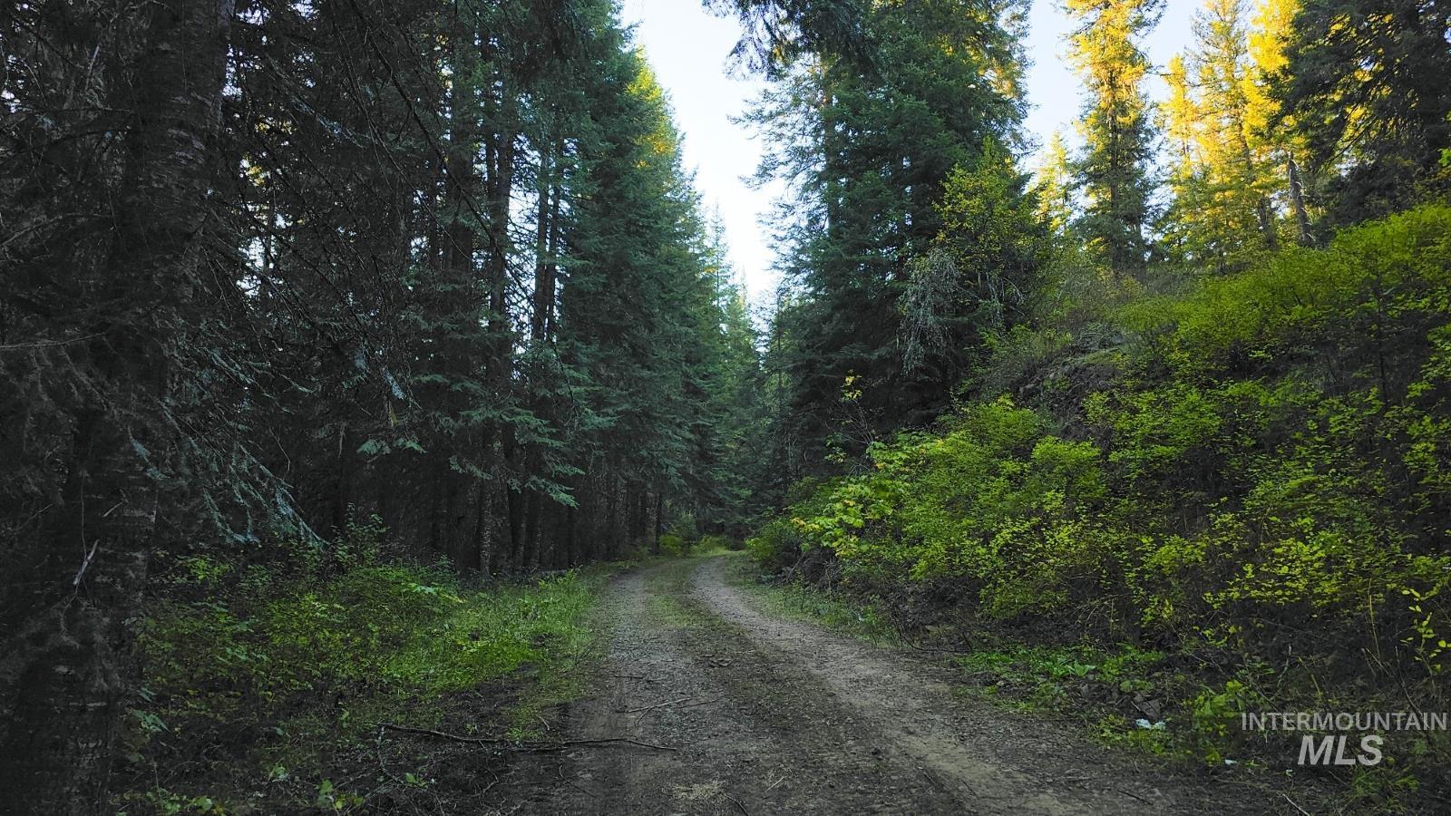 36.5 acres of 5856 Lacey Meadows Rd, Weippe, Idaho 83553, Land For Sale, Price $499,000,MLS 98903007
