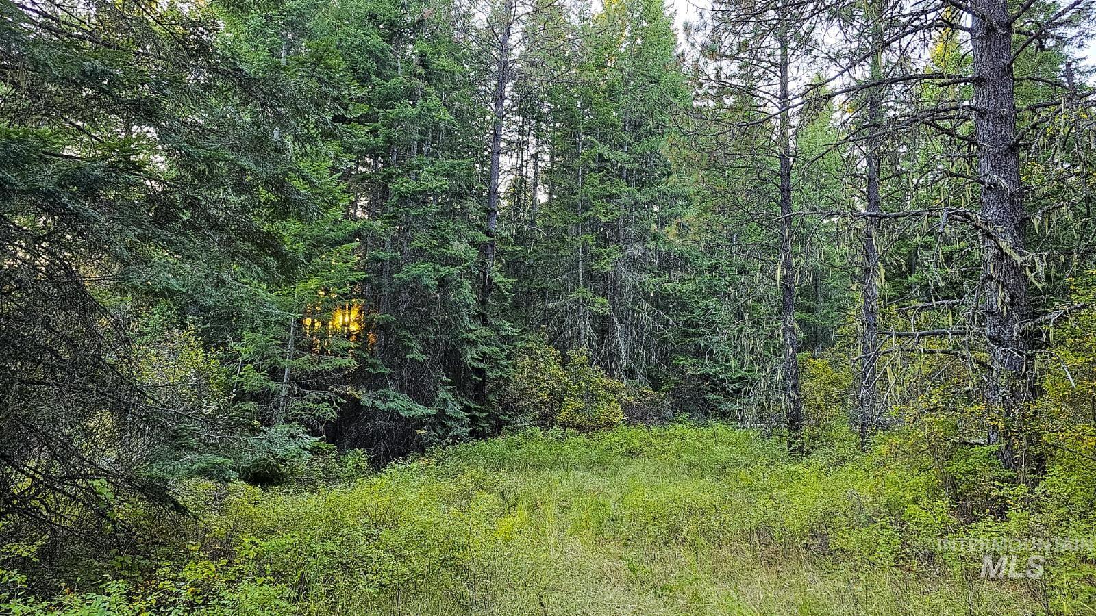 36.5 acres of 5856 Lacey Meadows Rd, Weippe, Idaho 83553, Land For Sale, Price $410,000, 98903007