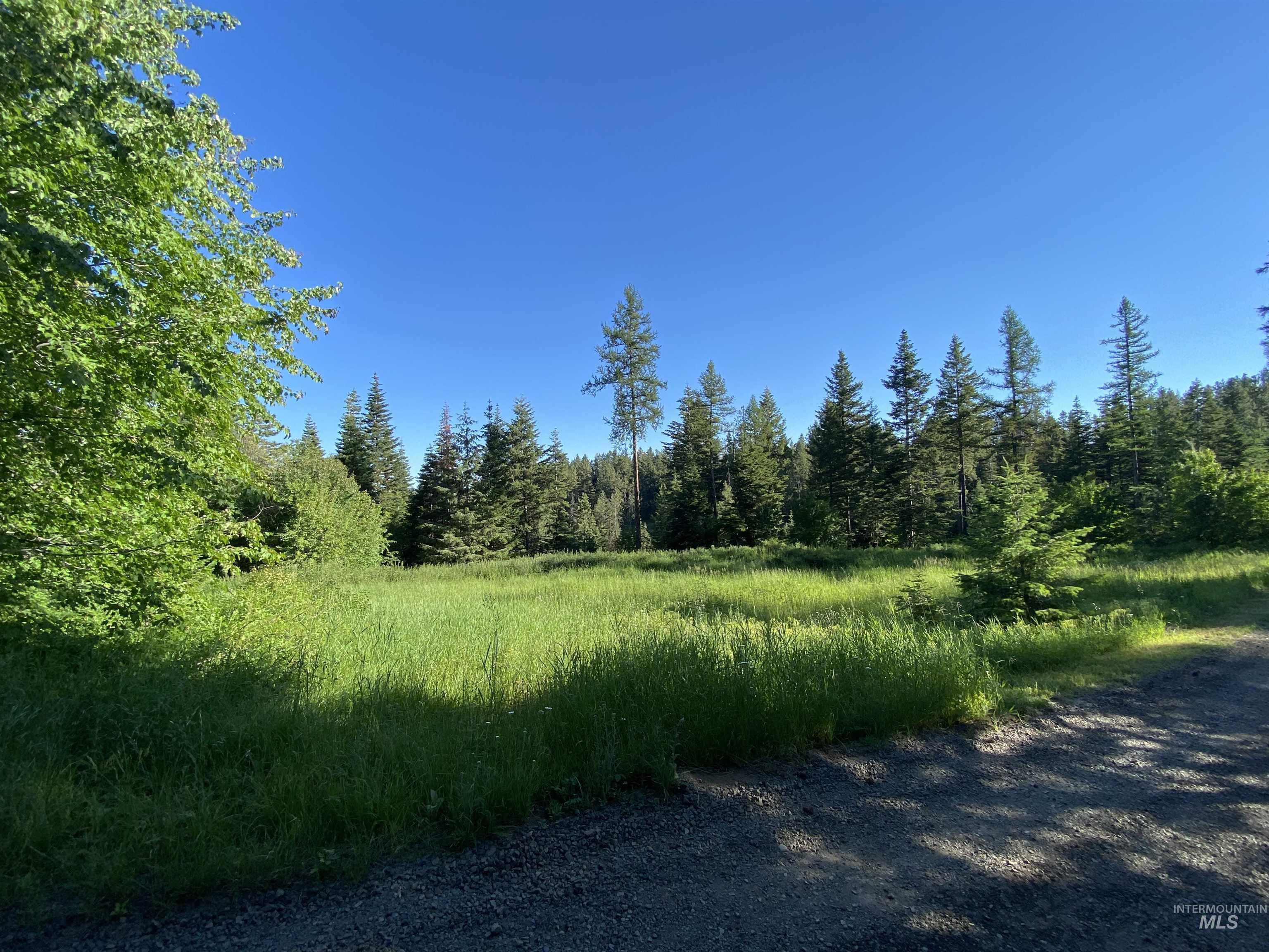 TBD BuckBoard Lane, Waha, Idaho 83501, Land For Sale, Price $325,000, 98903029