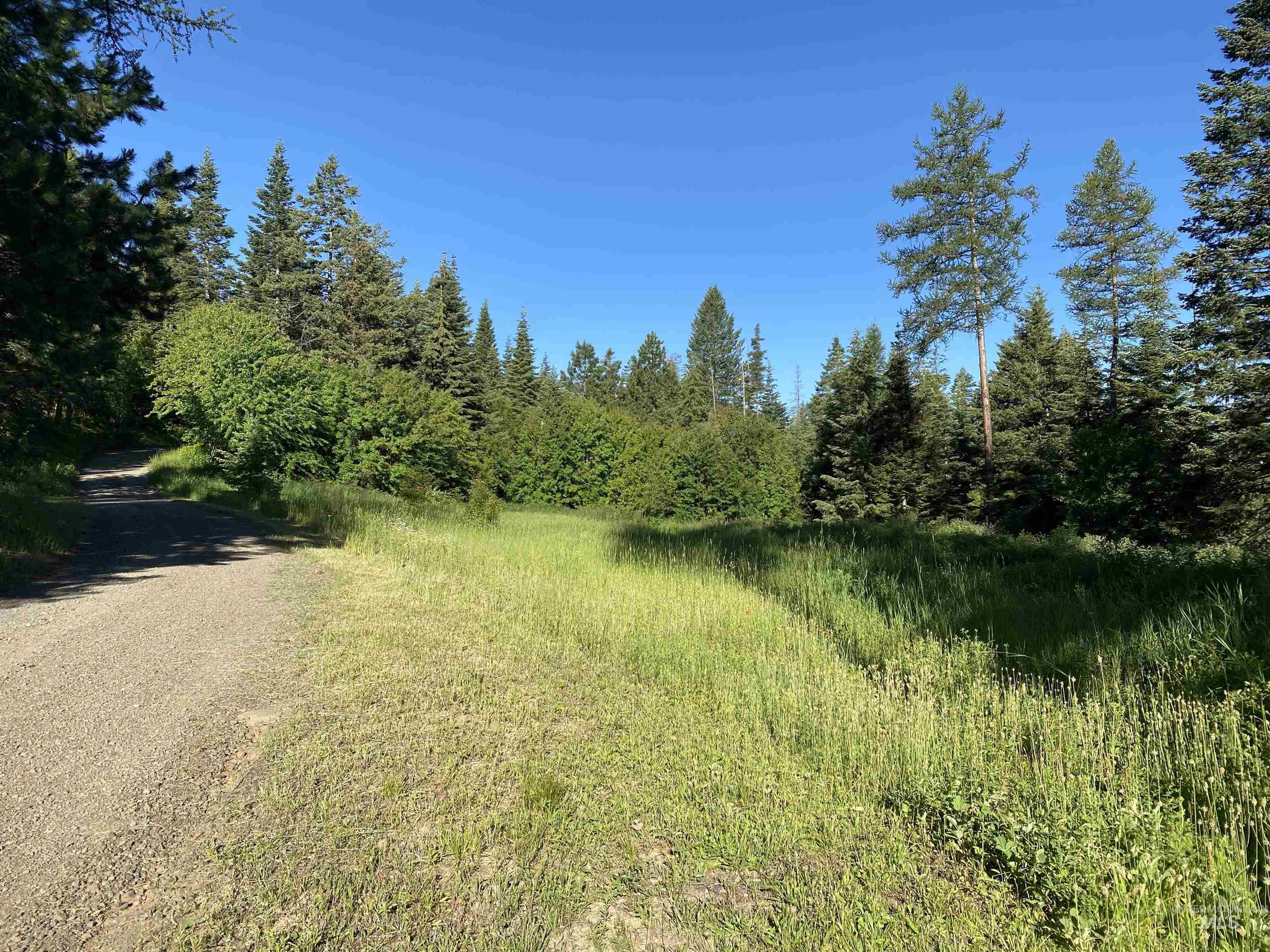 TBD BuckBoard Lane, Waha, Idaho 83501, Land For Sale, Price $325,000, 98903029