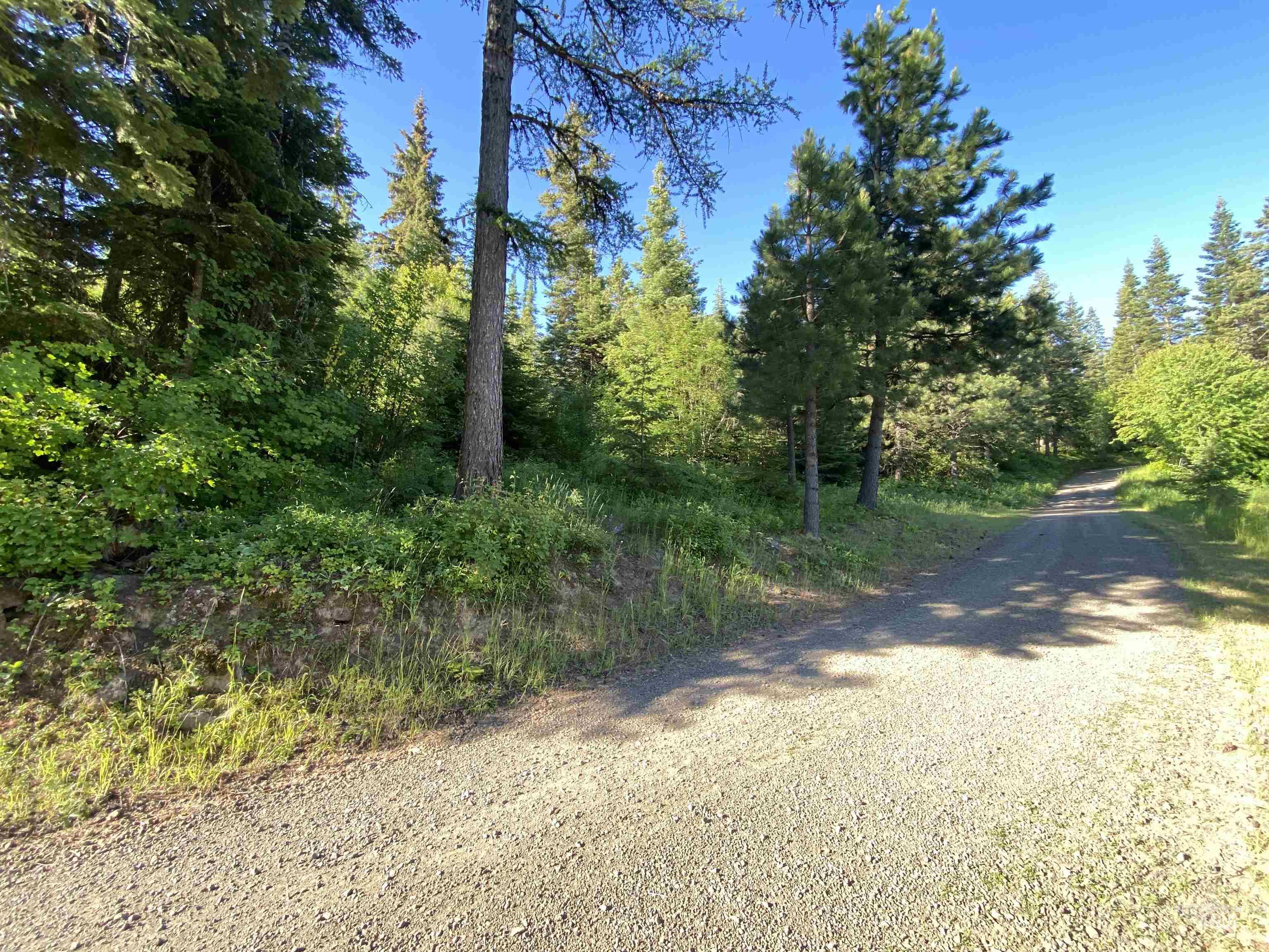 TBD BuckBoard Lane, Waha, Idaho 83501, Land For Sale, Price $325,000, 98903029