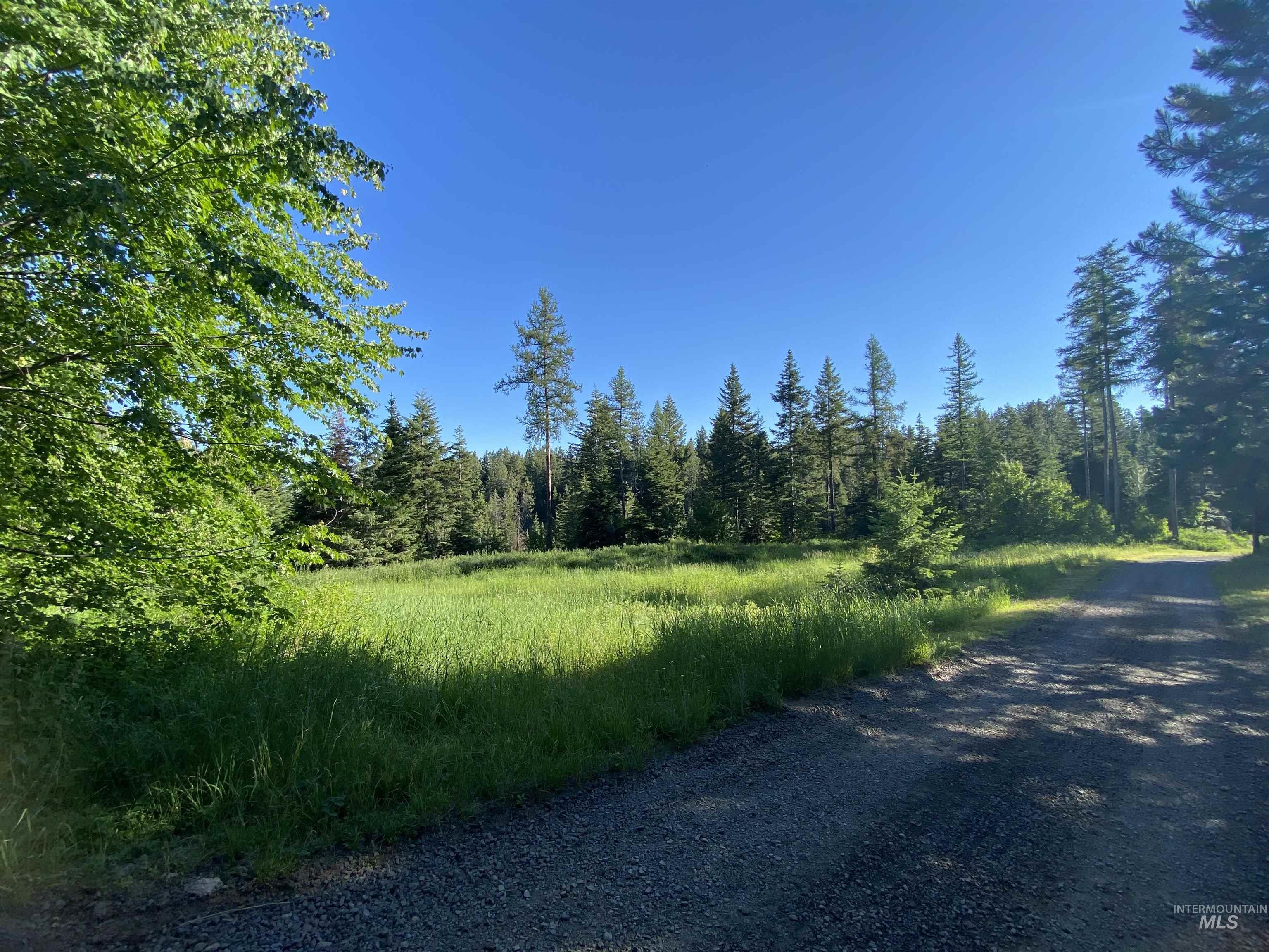 TBD BuckBoard Lane, Waha, Idaho 83501, Land For Sale, Price $325,000,MLS 98903029