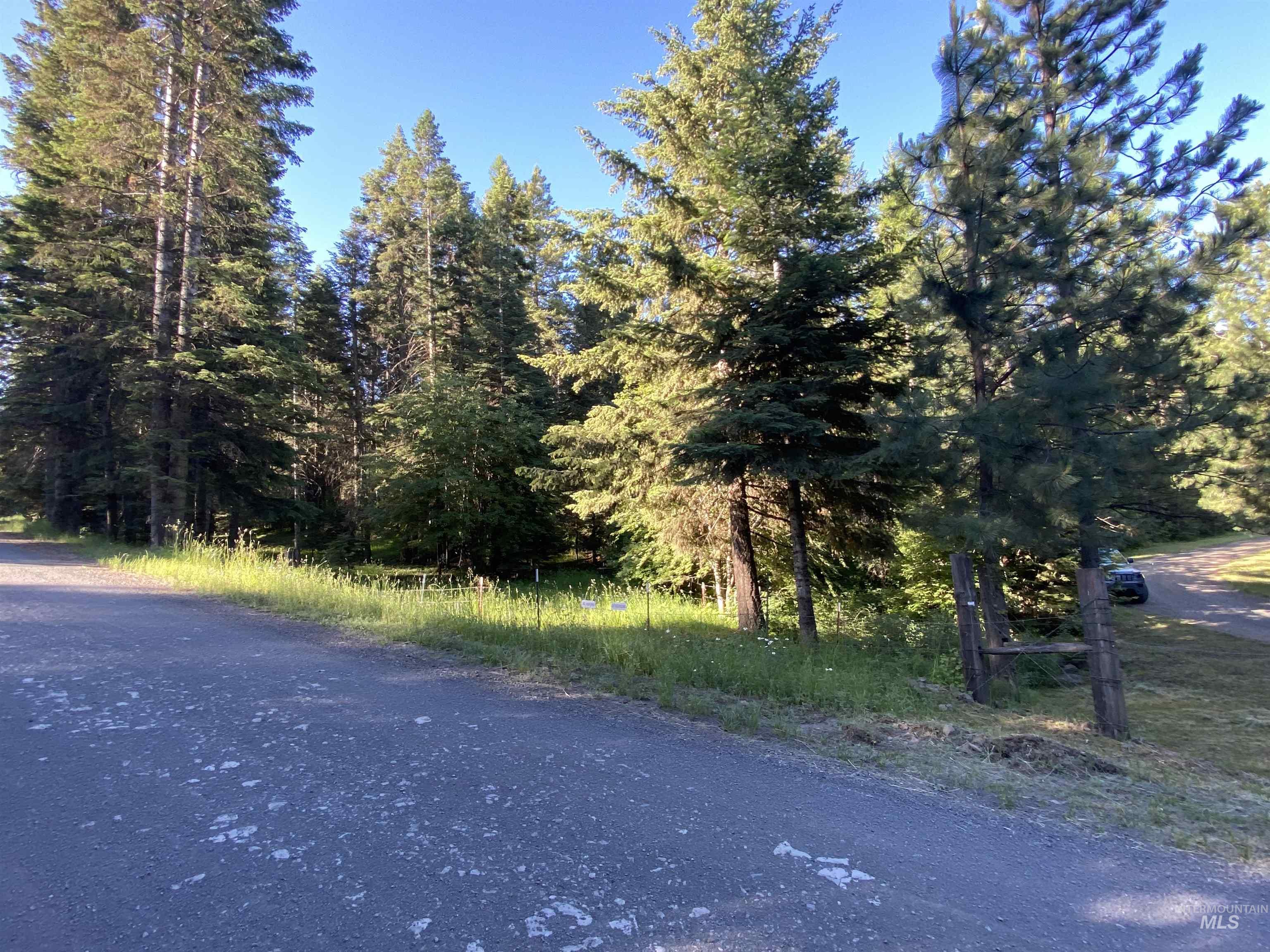 TBD BuckBoard Lane, Waha, Idaho 83501, Land For Sale, Price $325,000, 98903029