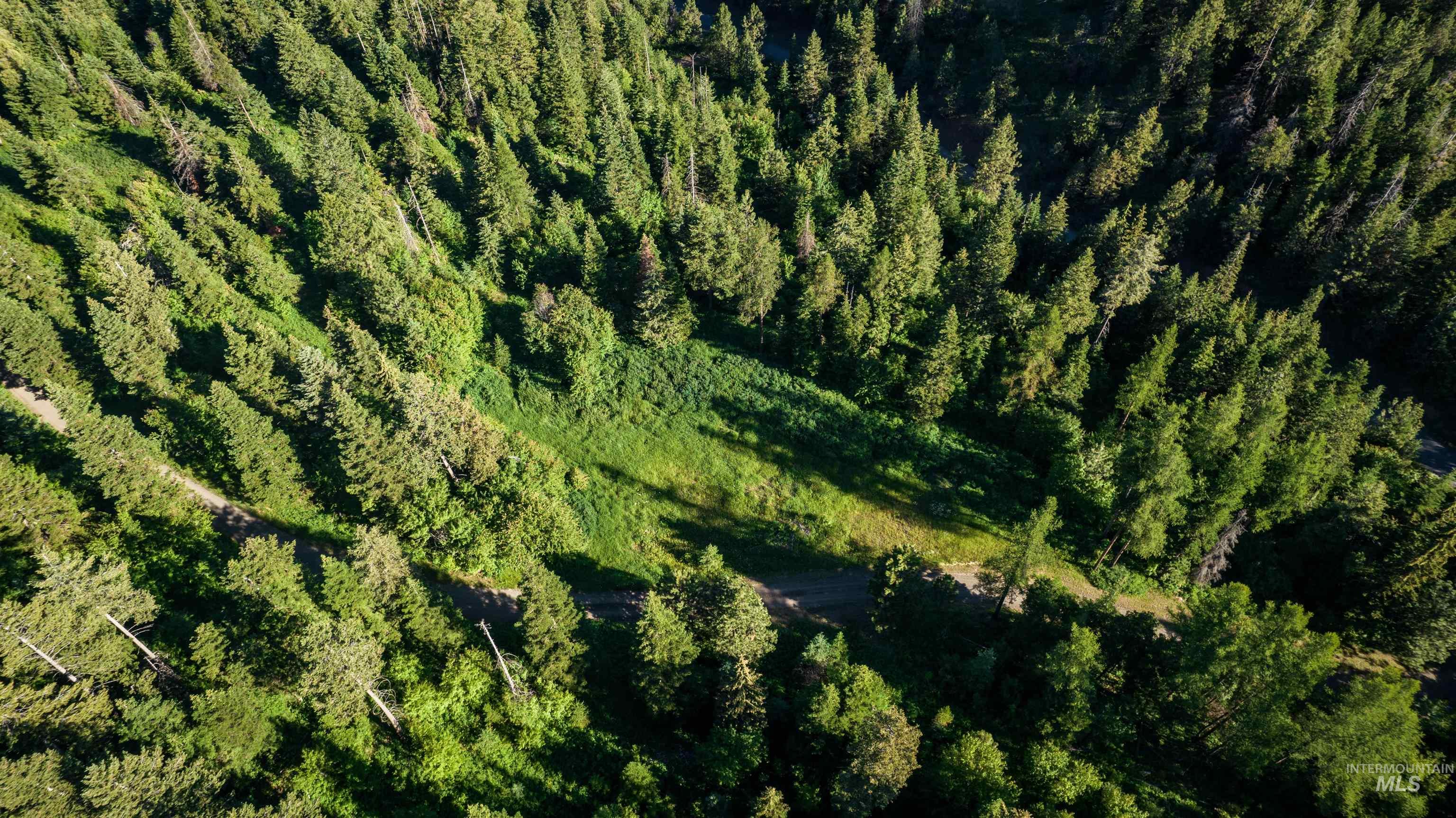 TBD BuckBoard Lane, Waha, Idaho 83501, Land For Sale, Price $325,000, 98903029