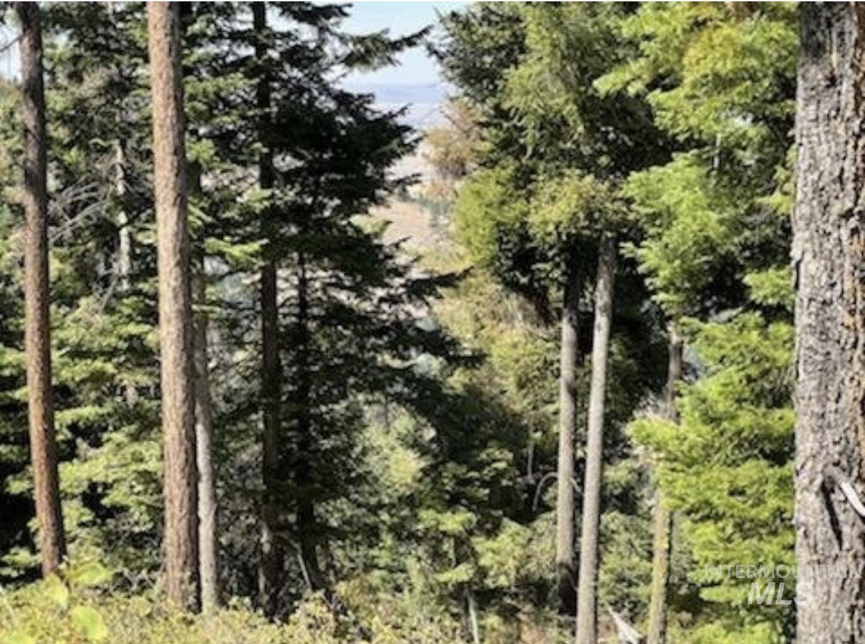 TBD BuckBoard Lane, Waha, Idaho 83501, Land For Sale, Price $325,000, 98903029