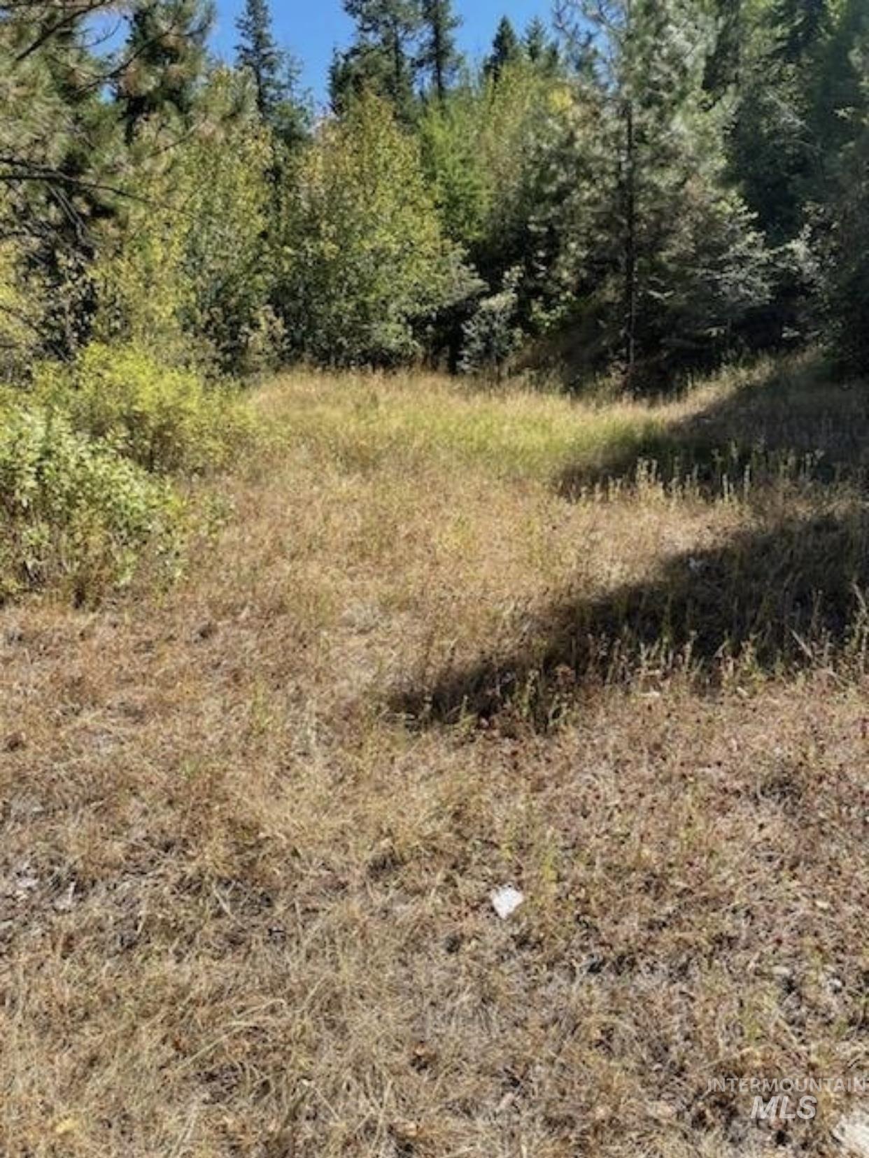 TBD BuckBoard Lane, Waha, Idaho 83501, Land For Sale, Price $325,000, 98903029
