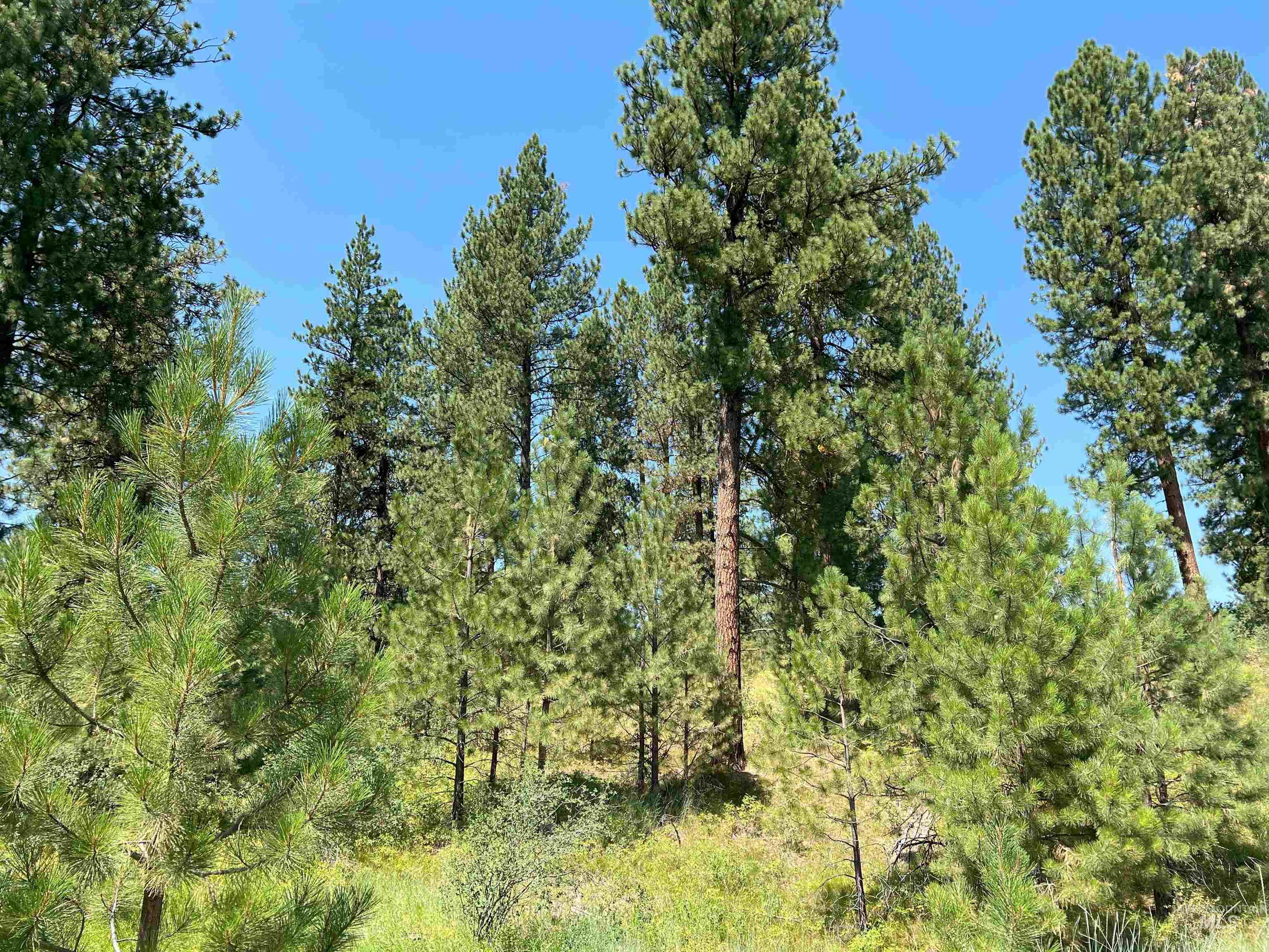13033 Leland Dr, Donnelly, Idaho 83615, Land For Sale, Price $259,000,MLS 98903131