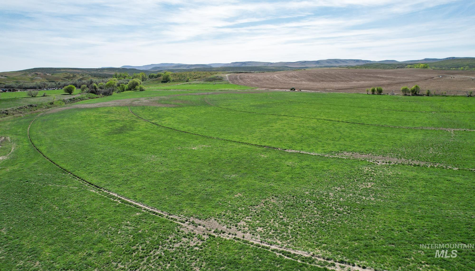 1547 Hwy 201, Adrian, Oregon 97901, 3 Bedrooms, 1 Bathroom, Farm & Ranch For Sale, Price $1,275,000, 98903455