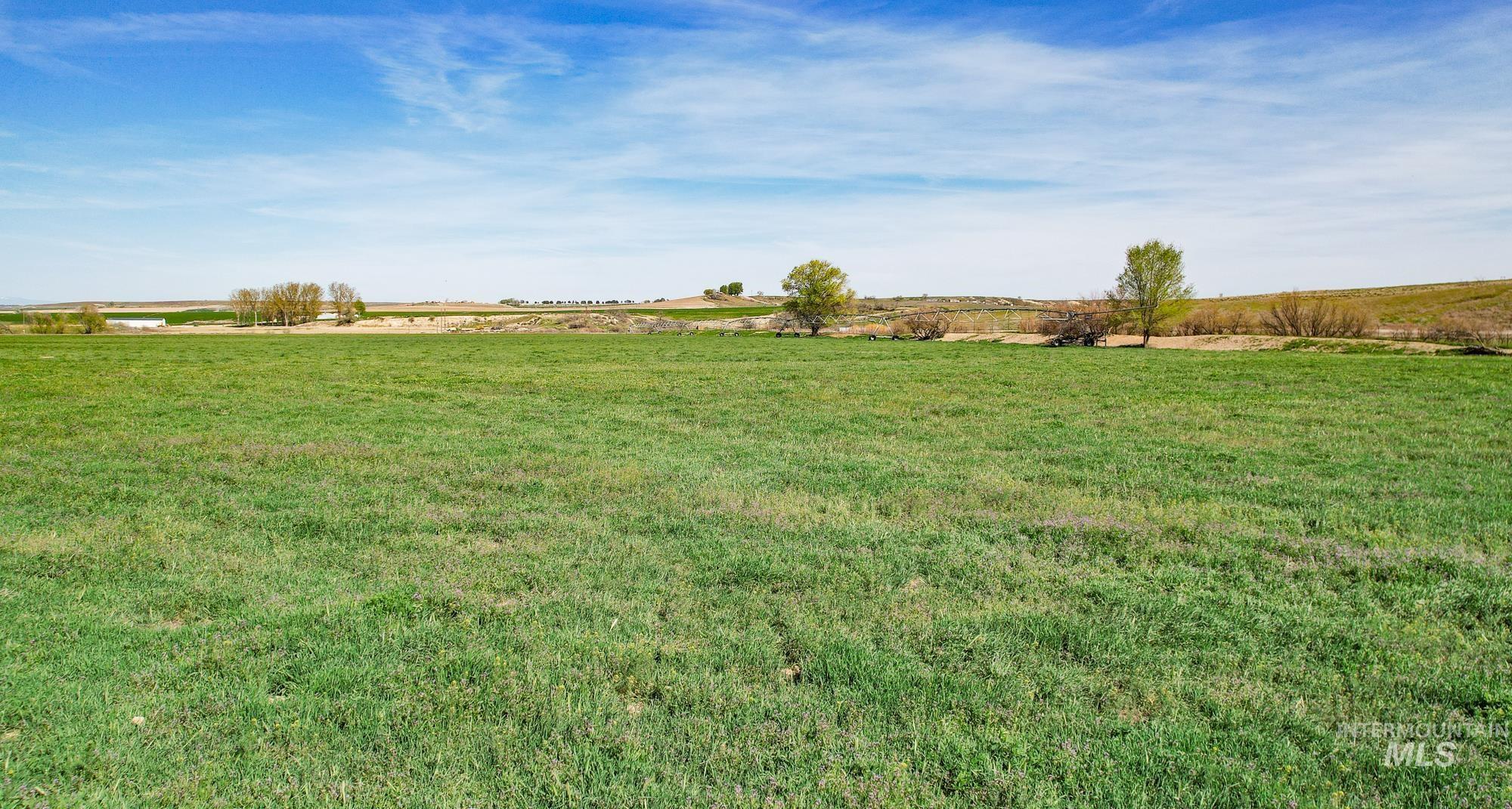1547 Hwy 201, Adrian, Oregon 97901, 3 Bedrooms, 1 Bathroom, Farm & Ranch For Sale, Price $1,275,000, 98903455