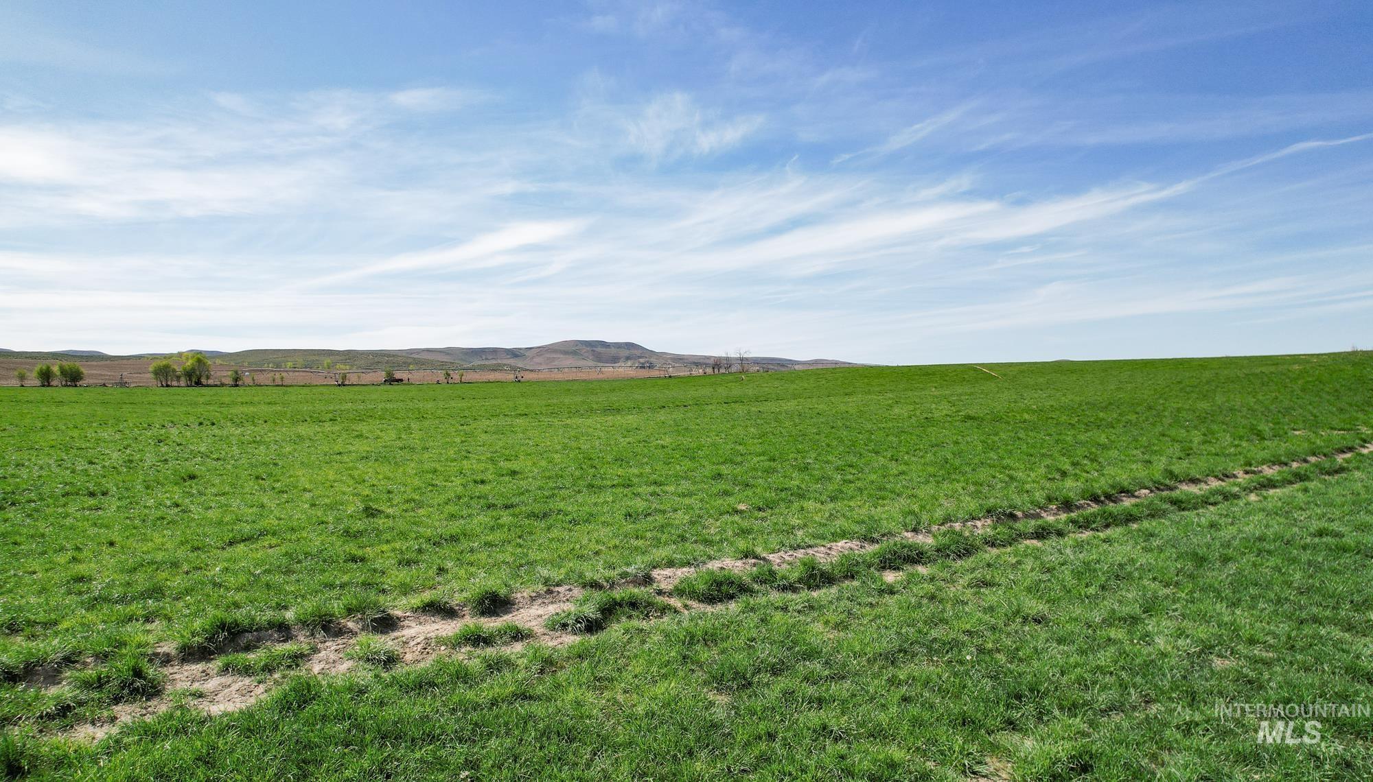 1547 Hwy 201, Adrian, Oregon 97901, 3 Bedrooms, 1 Bathroom, Farm & Ranch For Sale, Price $1,275,000, 98903455