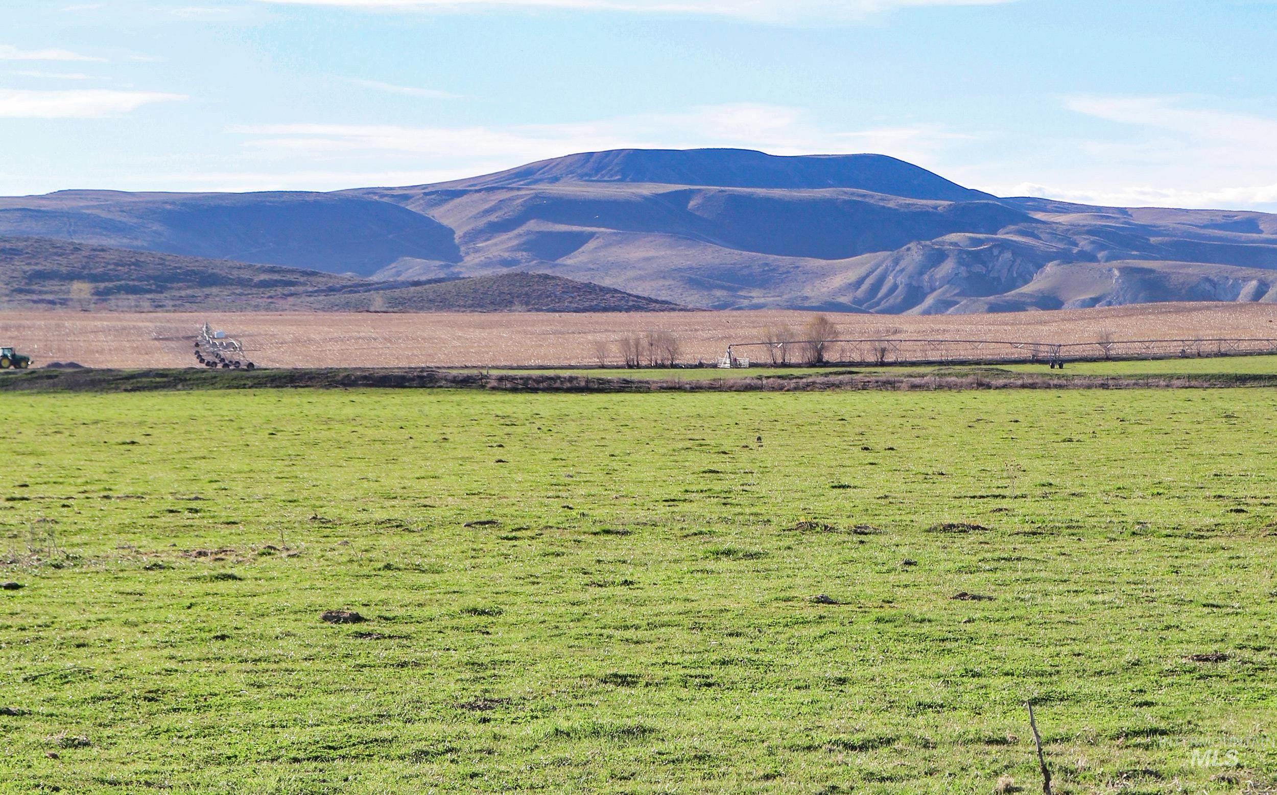 1547 Hwy 201, Adrian, Oregon 97901, 3 Bedrooms, 1 Bathroom, Farm & Ranch For Sale, Price $1,275,000, 98903455