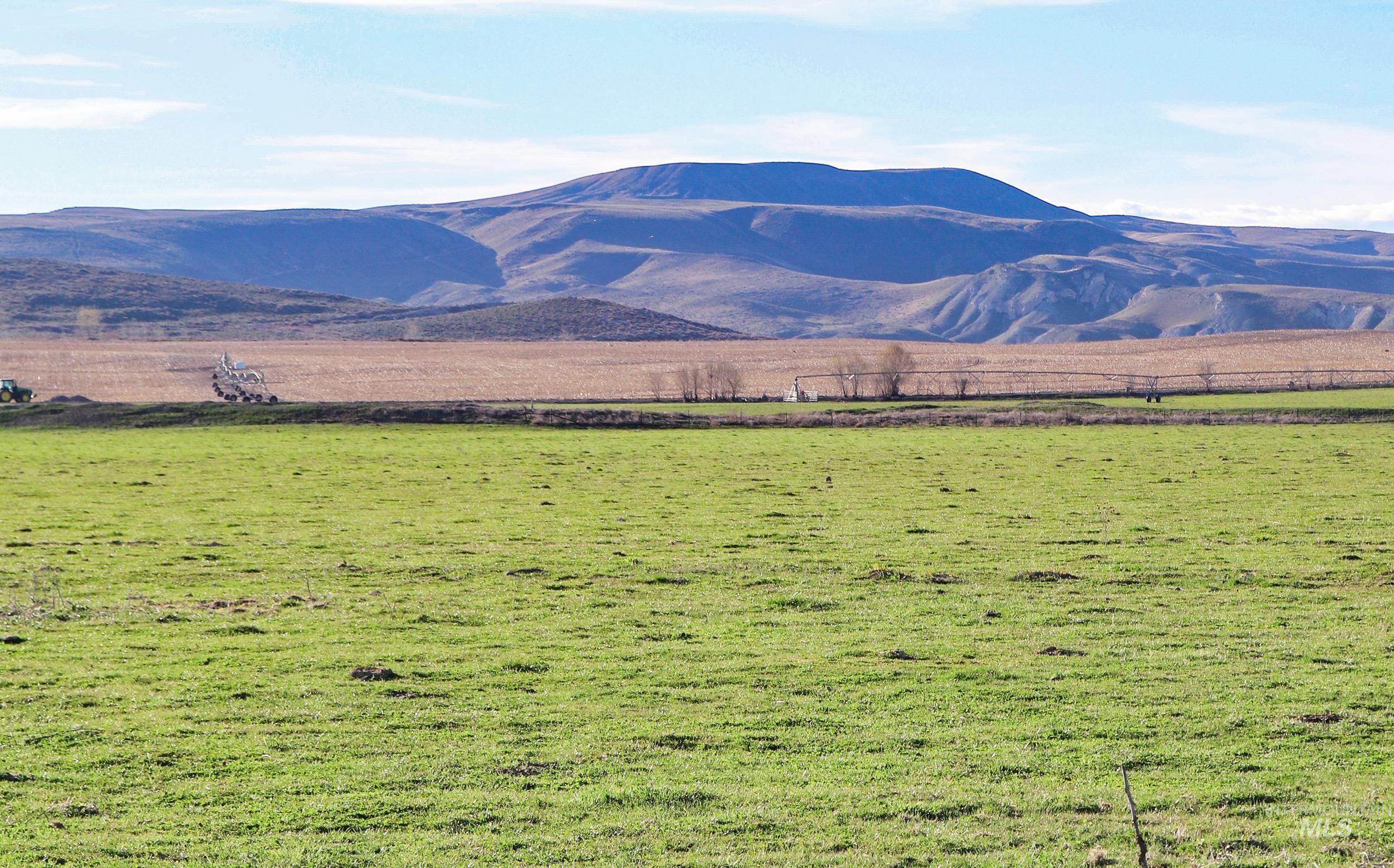 1547 Hwy 201, Adrian, Oregon 97901, 3 Bedrooms, 1 Bathroom, Farm & Ranch For Sale, Price $1,400,000,MLS 98903455