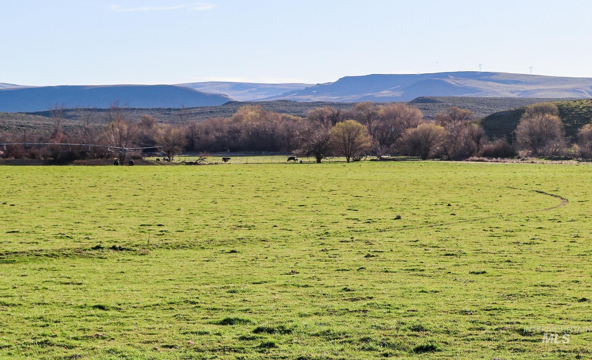 1547 Hwy 201, Adrian, Oregon 97901, 3 Bedrooms, 1 Bathroom, Farm & Ranch For Sale, Price $1,275,000, 98903455