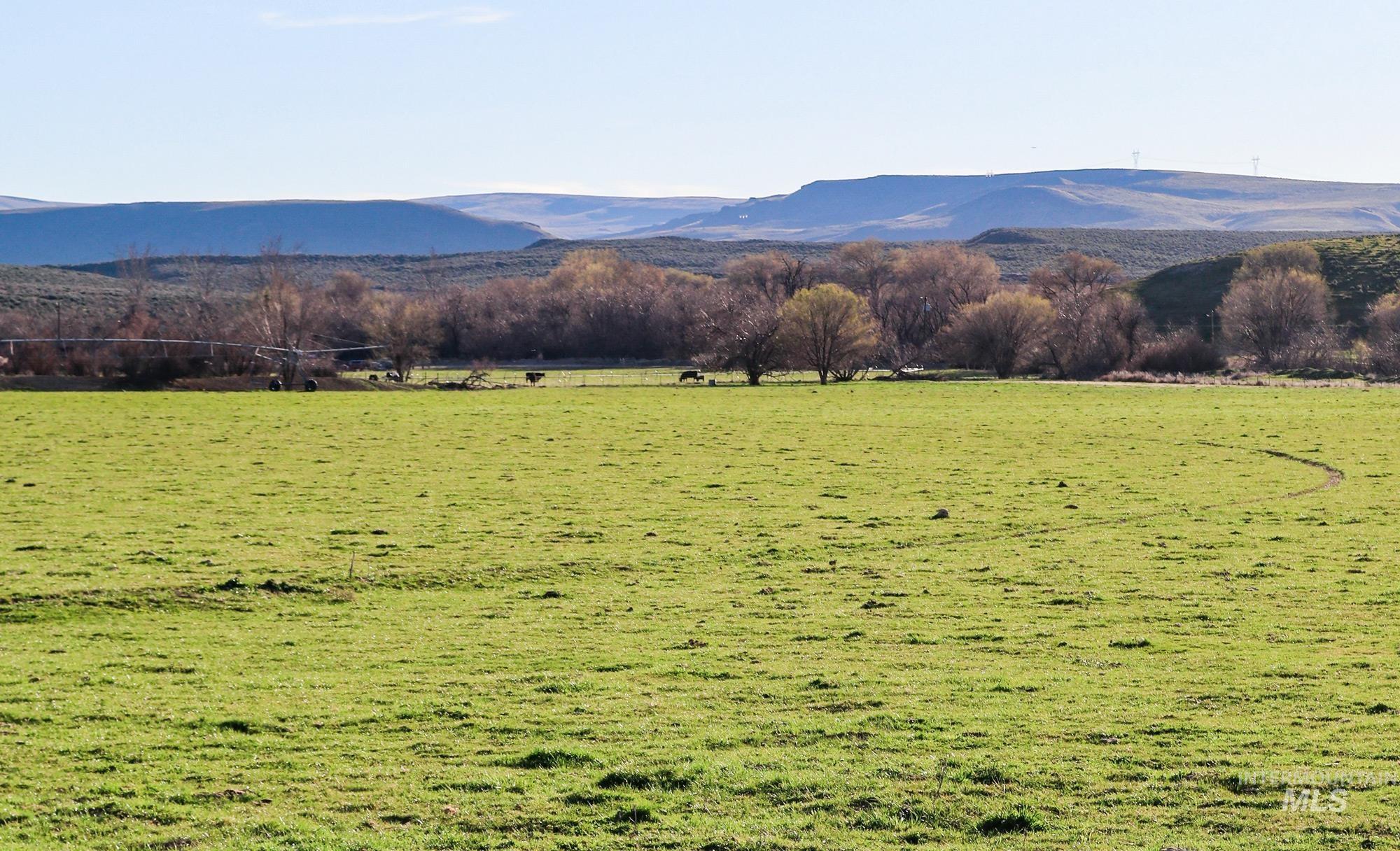 1547 Hwy 201, Adrian, Oregon 97901, 3 Bedrooms, 1 Bathroom, Farm & Ranch For Sale, Price $1,400,000,MLS 98903455