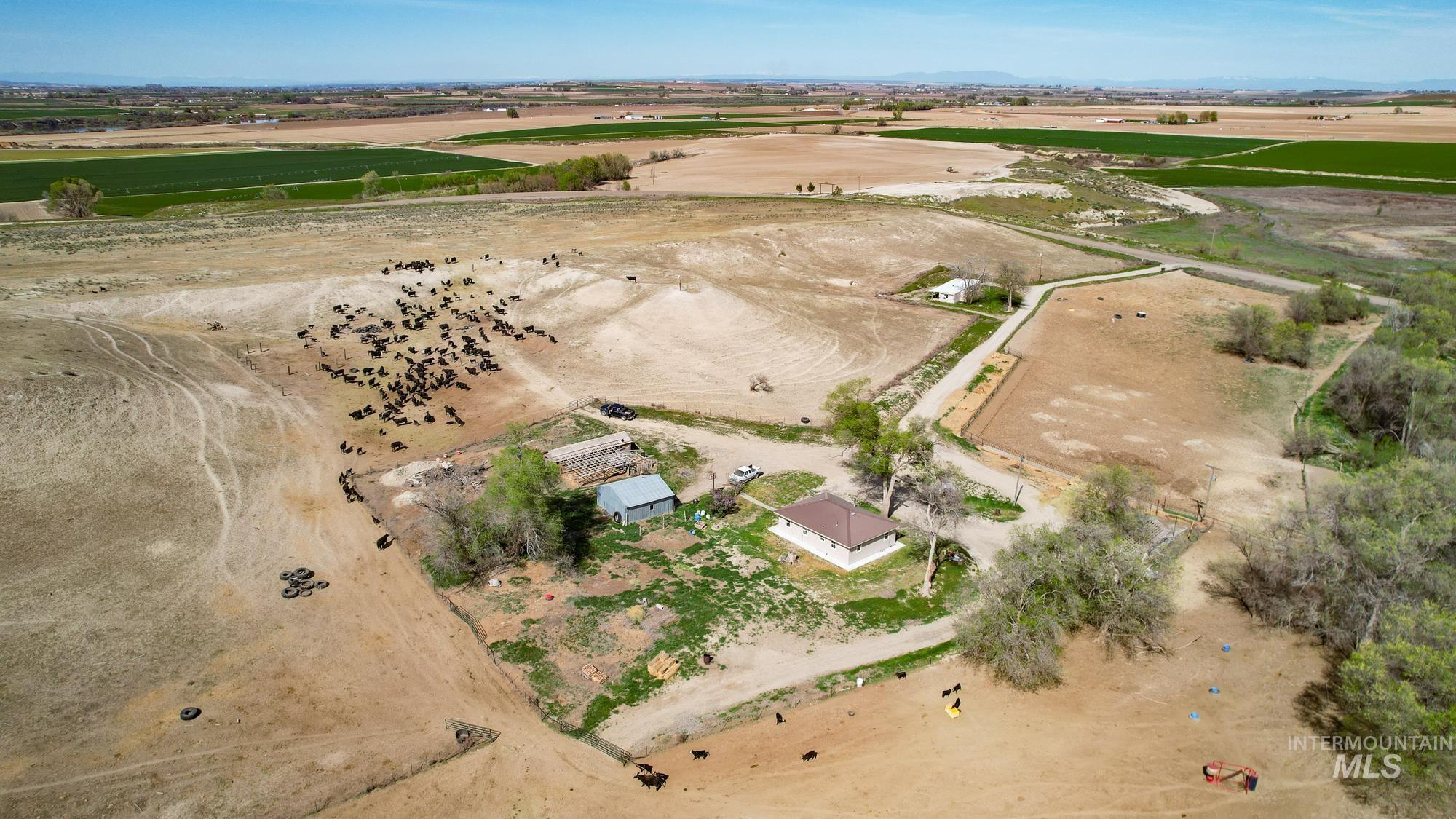 1547 Hwy 201, Adrian, Oregon 97901, 3 Bedrooms, 1 Bathroom, Farm & Ranch For Sale, Price $1,275,000, 98903455