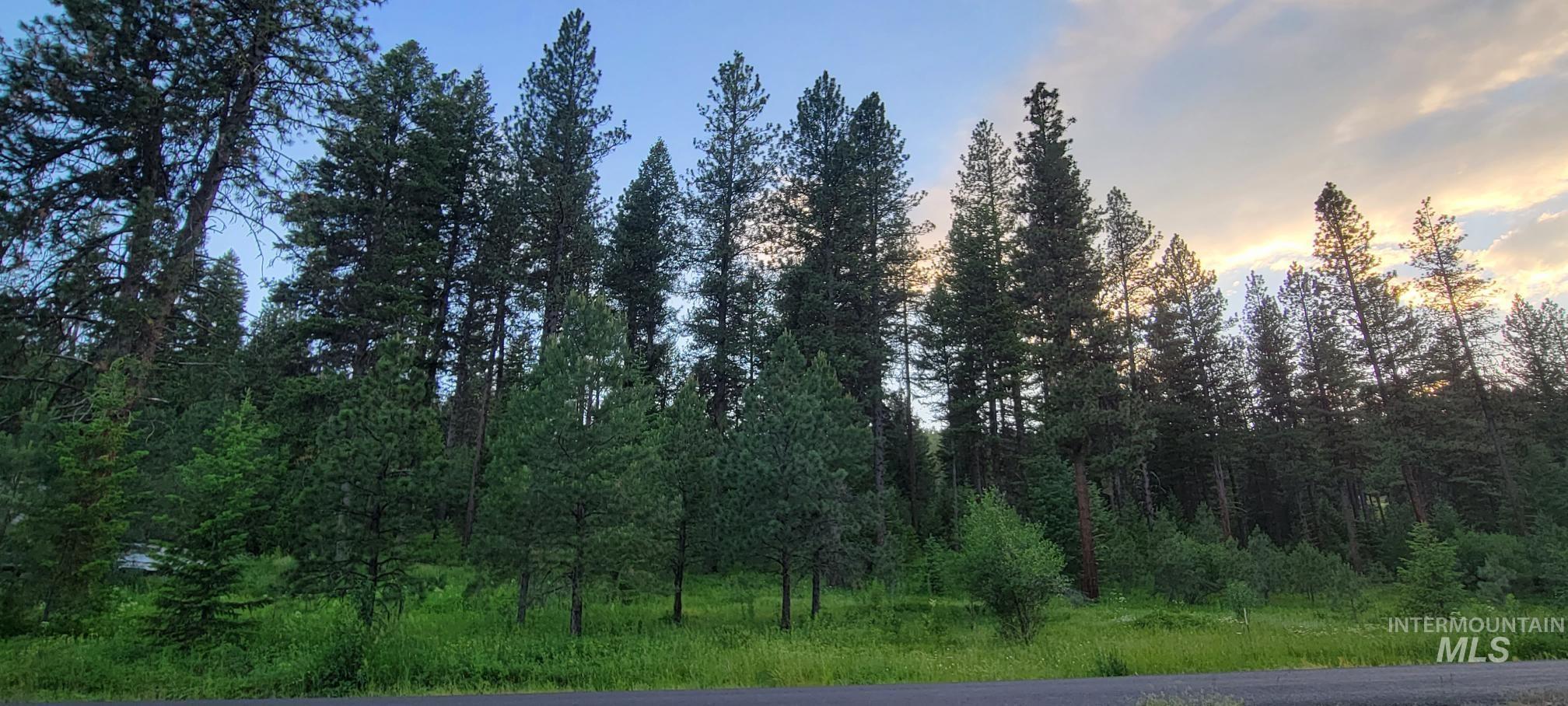 Lot 7 B19 Columbine, New Meadows, Idaho 83654, Land For Sale, Price $118,900,MLS 98903835