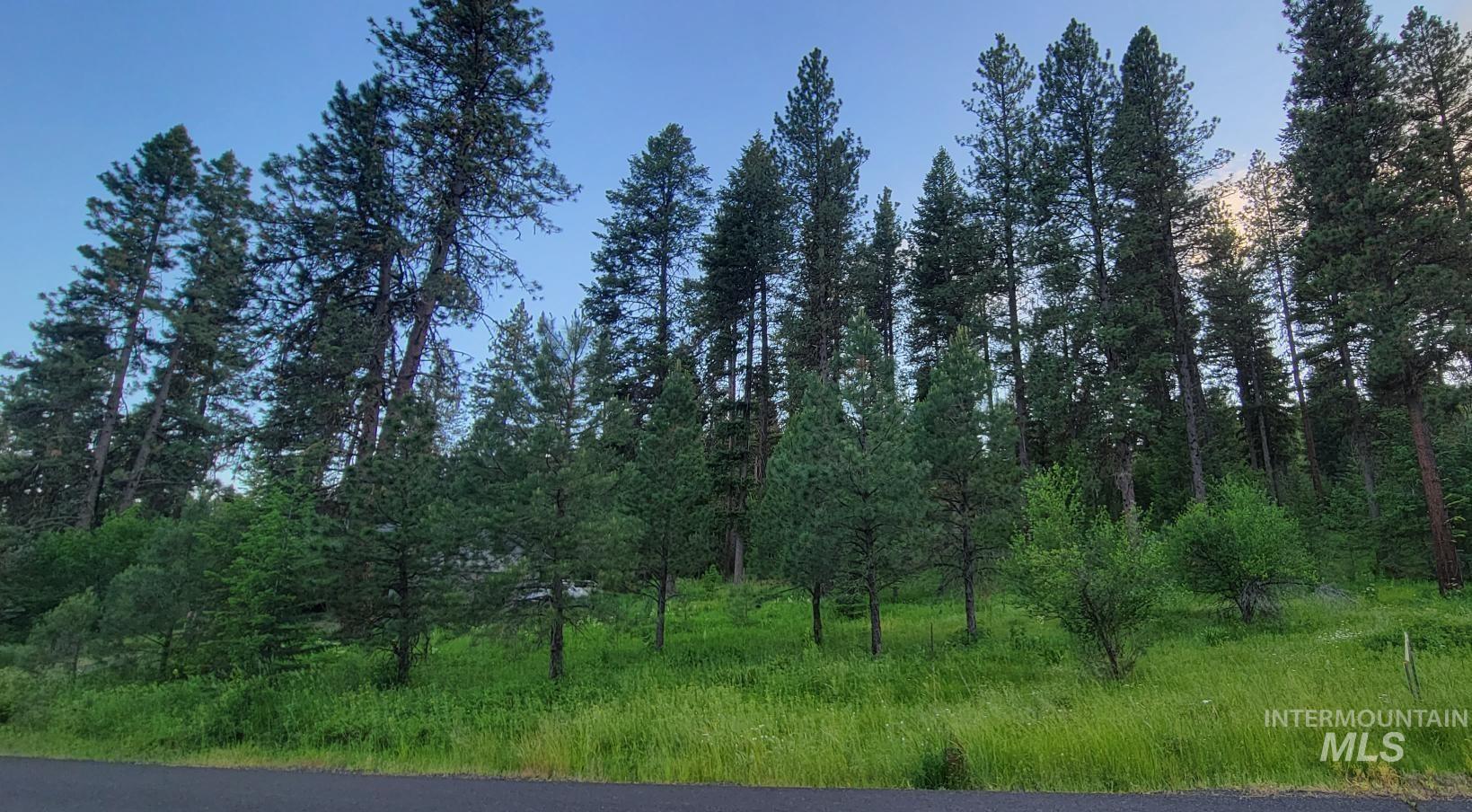 Lot 7 B19 Columbine, New Meadows, Idaho 83654, Land For Sale, Price $118,900, 98903835