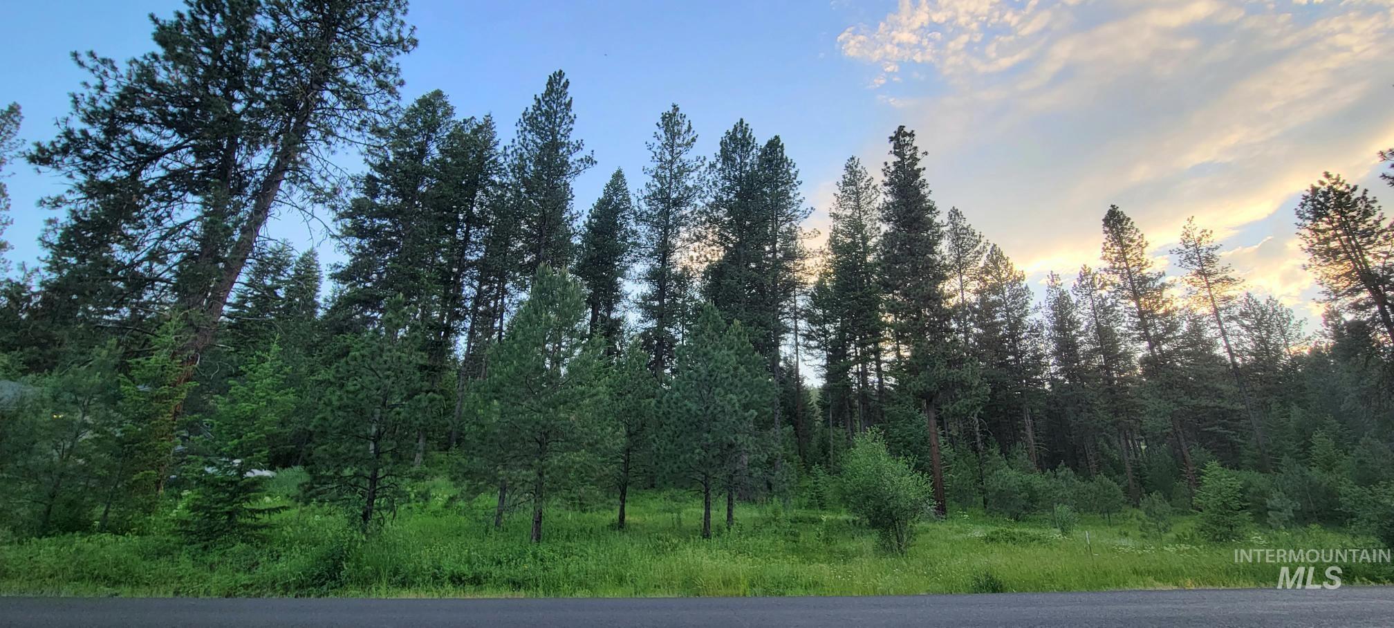 Lot 7 B19 Columbine, New Meadows, Idaho 83654, Land For Sale, Price $118,900, 98903835