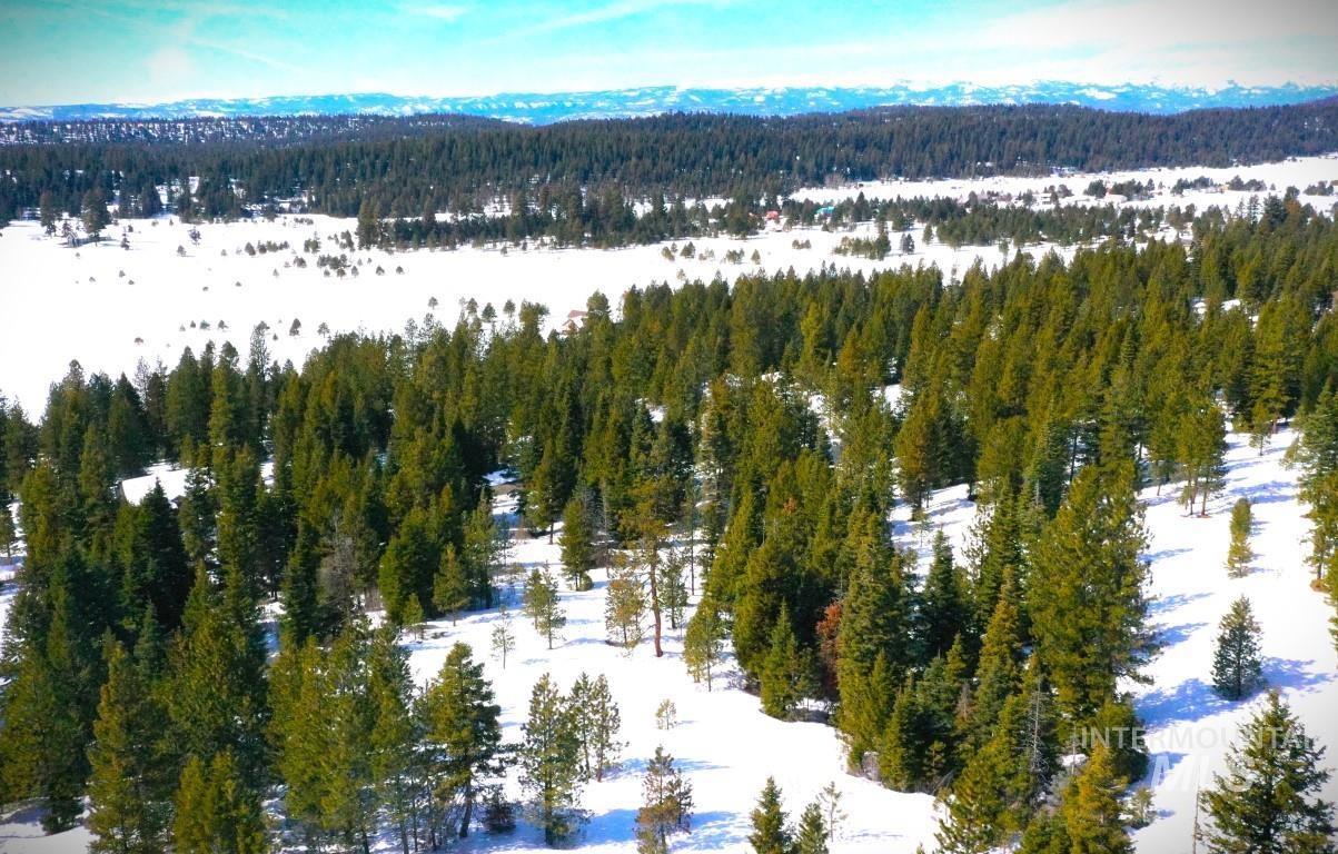 L4 Whitefield Lane, McCall, Idaho 83638, Land For Sale, Price $275,000,MLS 98904052