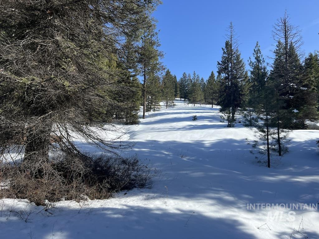 L4 Whitefield Lane, McCall, Idaho 83638, Land For Sale, Price $275,000,MLS 98904052