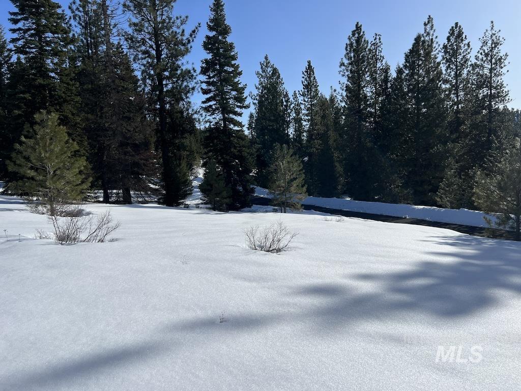 L5 Whitefield Lane, McCall, Idaho 83638, Land For Sale, Price $265,000,MLS 98904053