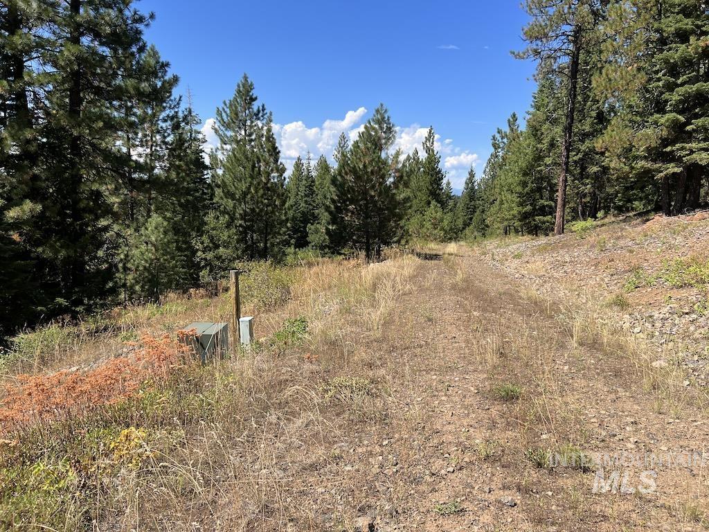 L7 Whitefield Lane, McCall, Idaho 83638, Land For Sale, Price $225,000,MLS 98904057