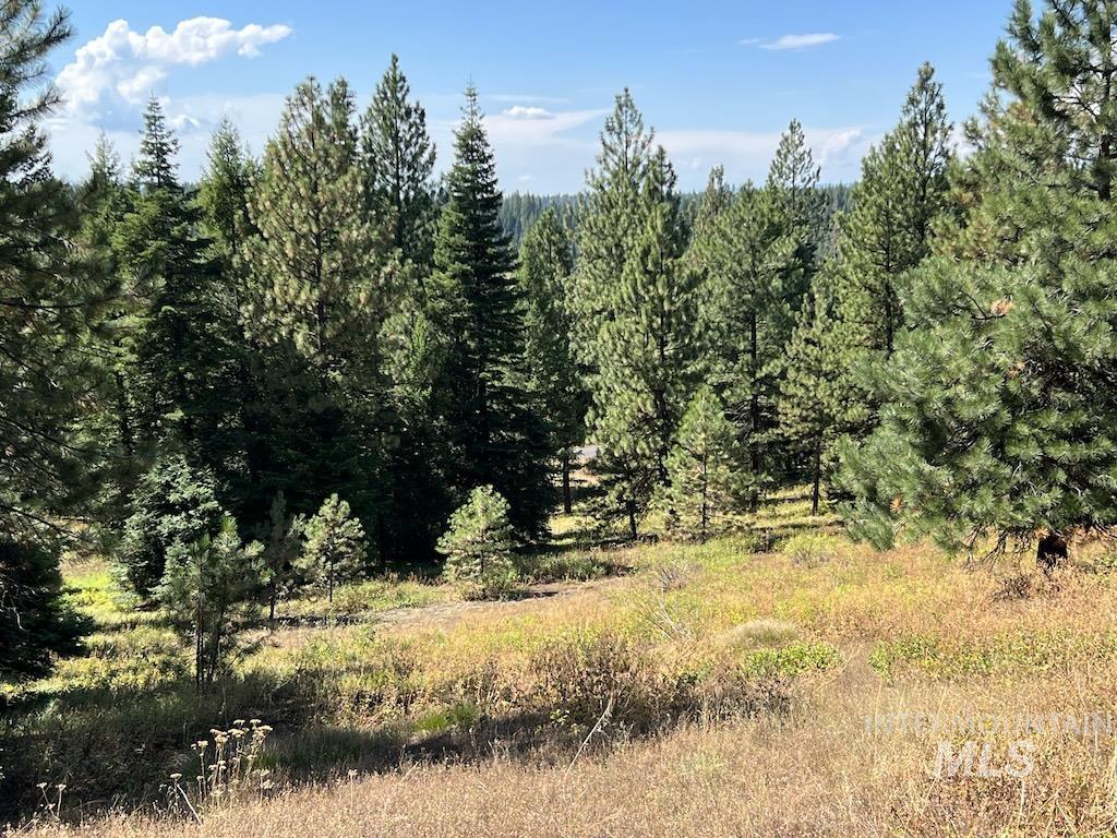 L7 Whitefield Lane, McCall, Idaho 83638, Land For Sale, Price $225,000,MLS 98904057