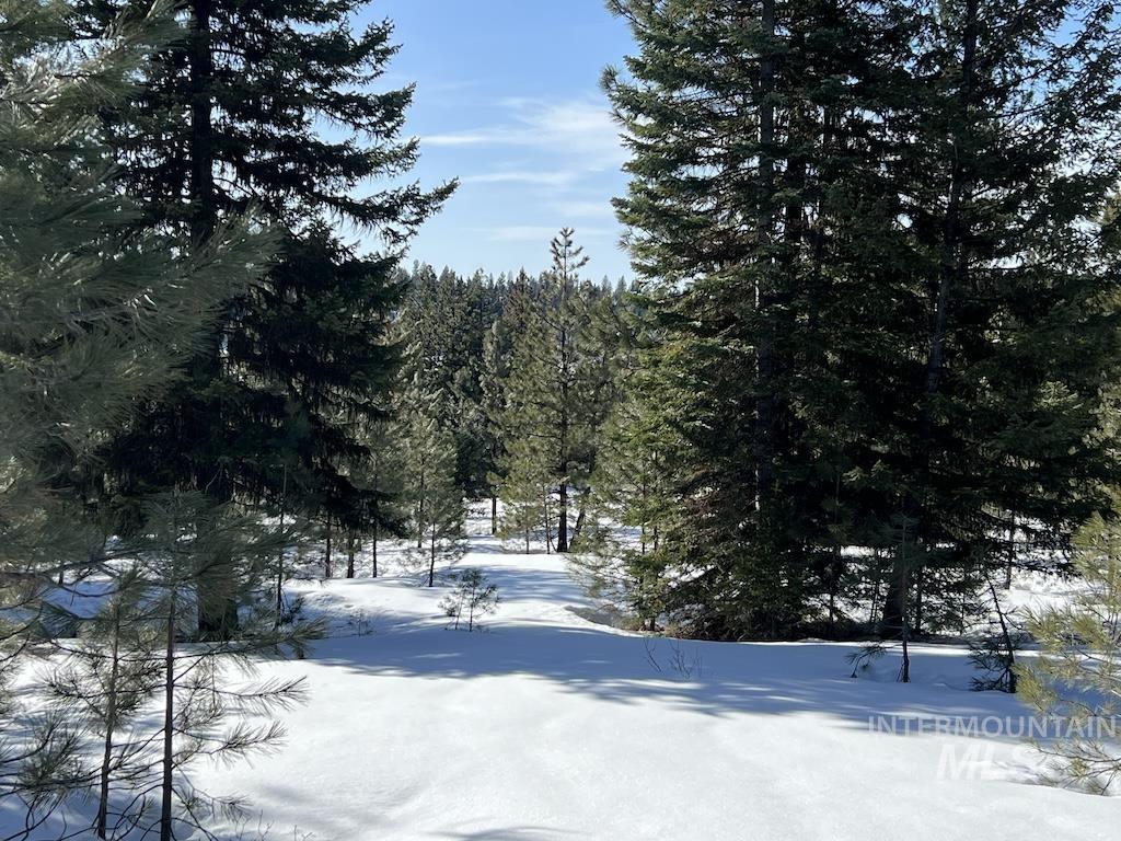 L8 Whitefield Lane, McCall, Idaho 83638, Land For Sale, Price $275,000,MLS 98904059