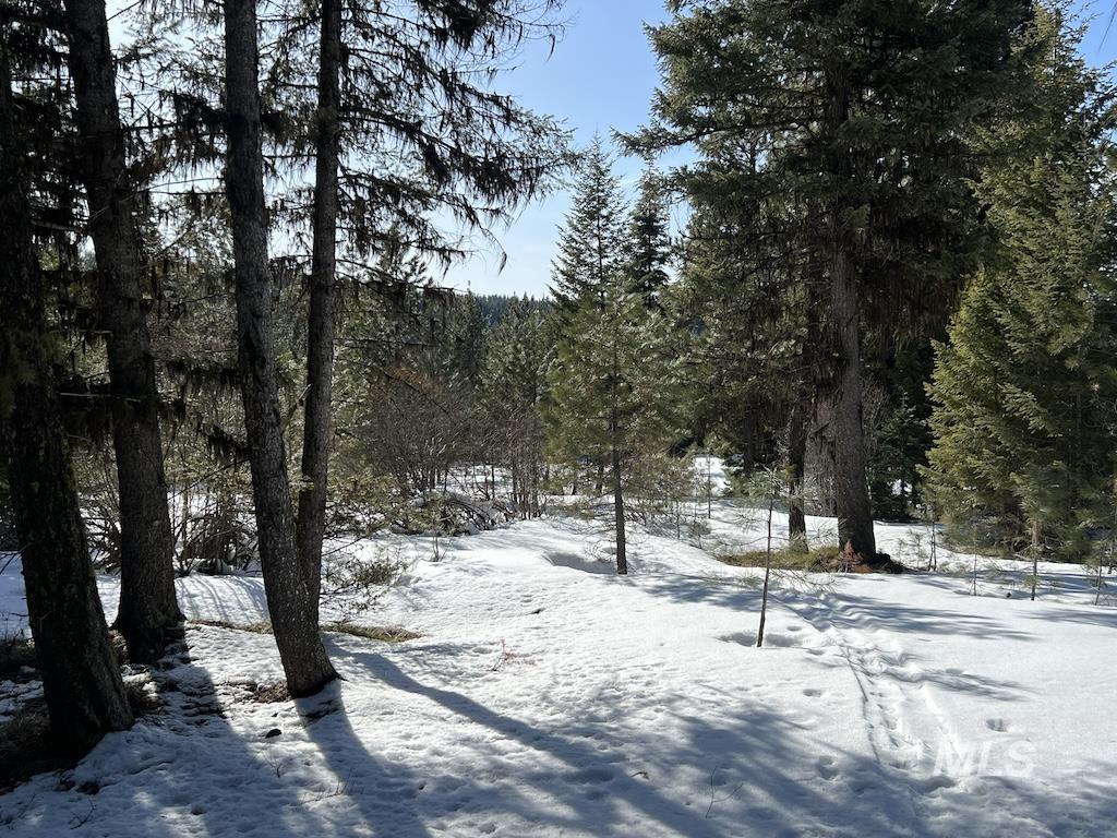 L8 Whitefield Lane, McCall, Idaho 83638, Land For Sale, Price $275,000,MLS 98904059