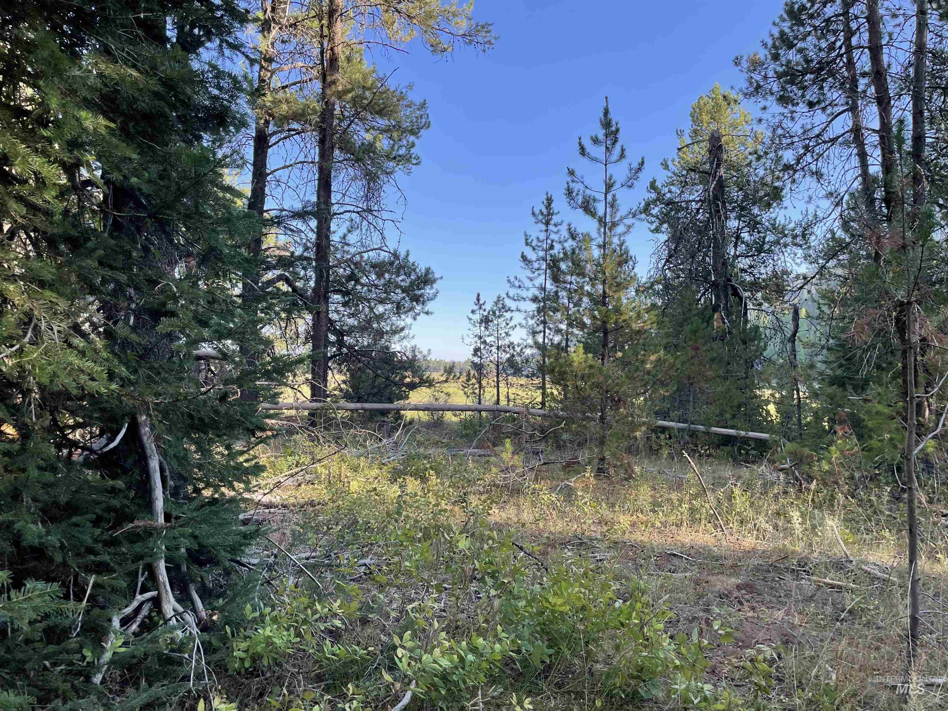 2498 W Wood Dr, Donnelly, Idaho 83615, Land For Sale, Price $574,000,MLS 98904066