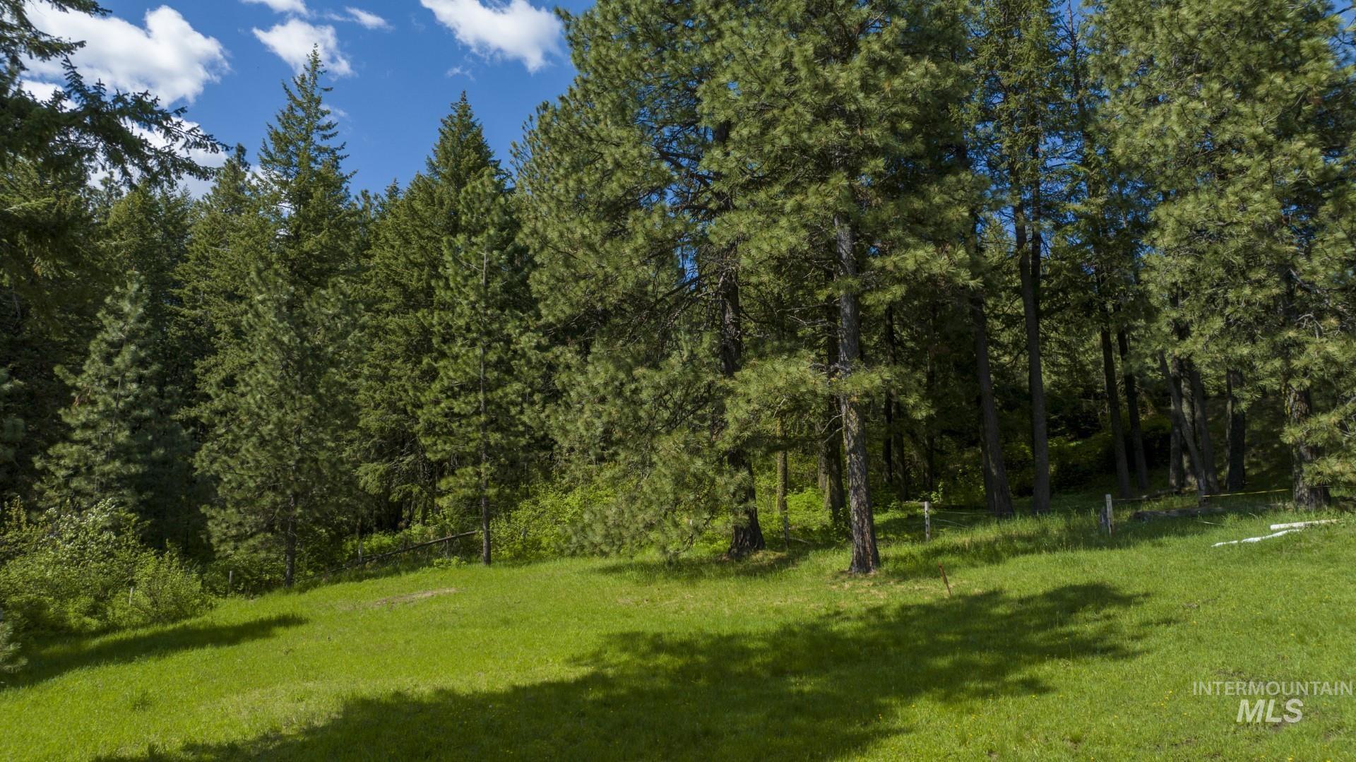 NKA East Mountain Home Road, Potlatch, Idaho 83855, Land For Sale, Price $495,000,MLS 98904214
