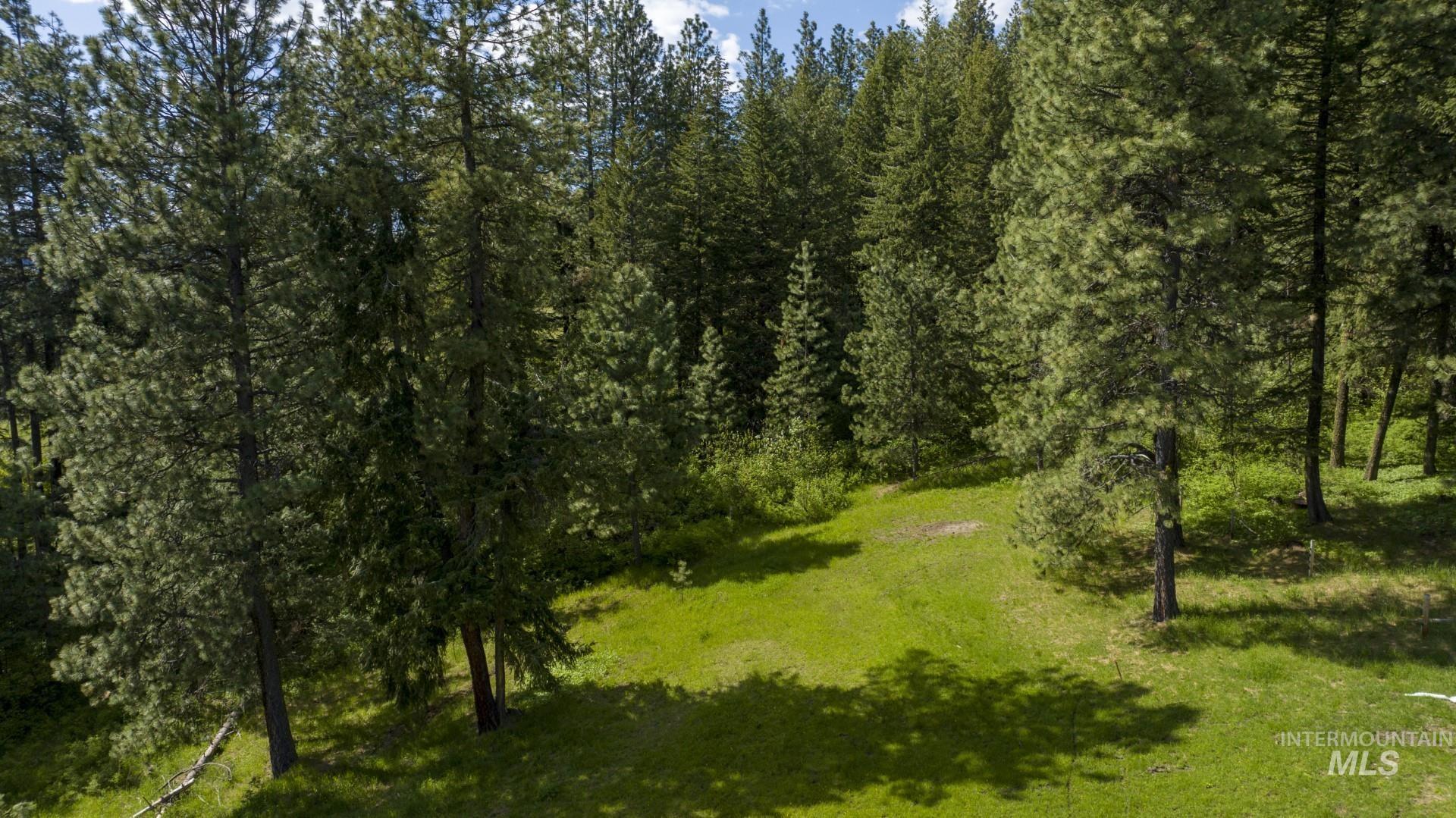 NKA East Mountain Home Road, Potlatch, Idaho 83855, Land For Sale, Price $495,000,MLS 98904214