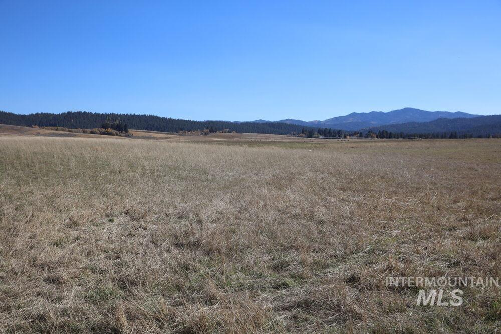408 Gold Fork Rd (250 Acres), Donnelly, Idaho 83615, Land For Sale, Price $2,750,000,MLS 98904482