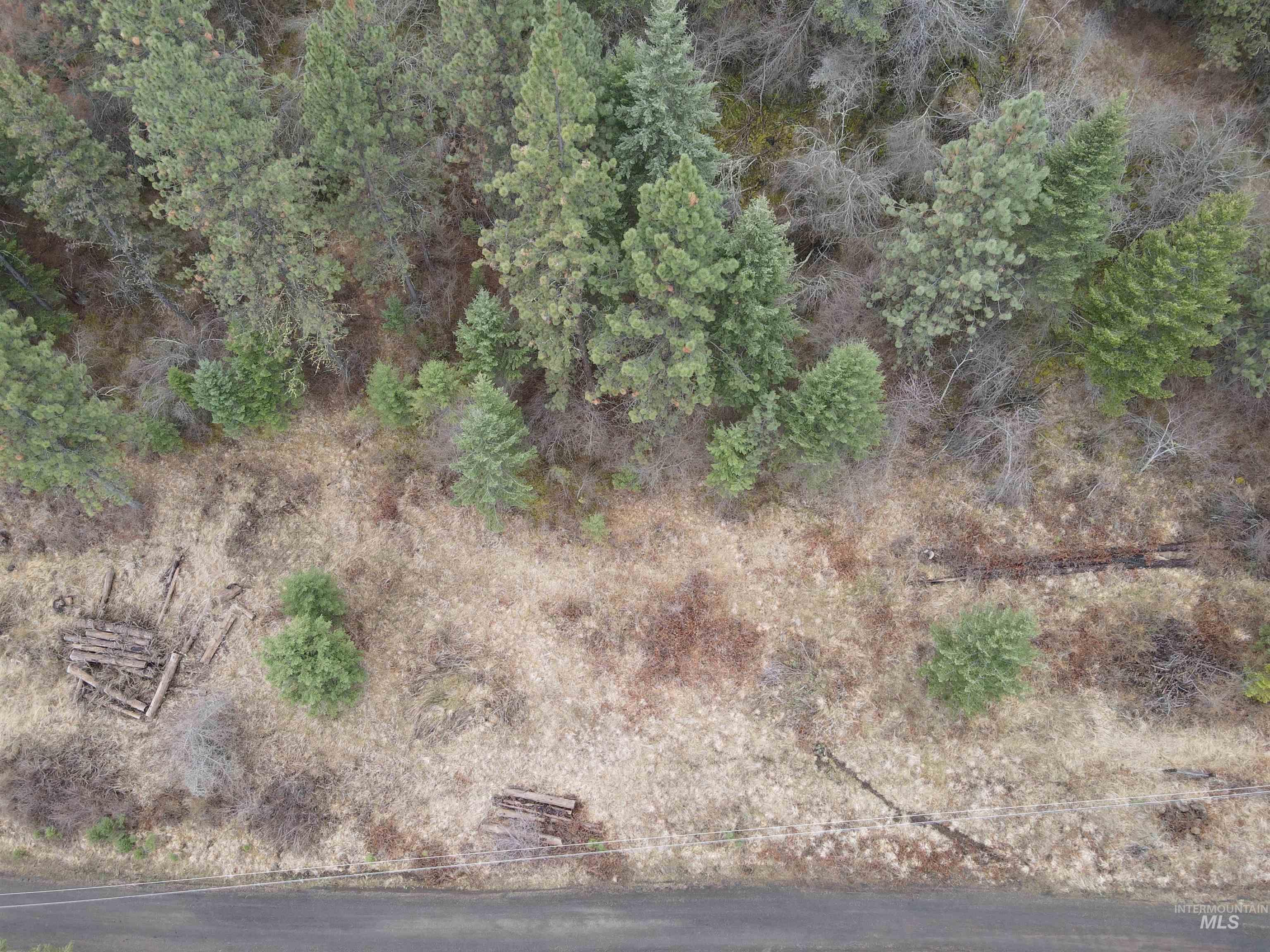 Lot 60 Twin River Ranch, White Bird, Idaho 83554, Land For Sale, Price $145,000,MLS 98904720