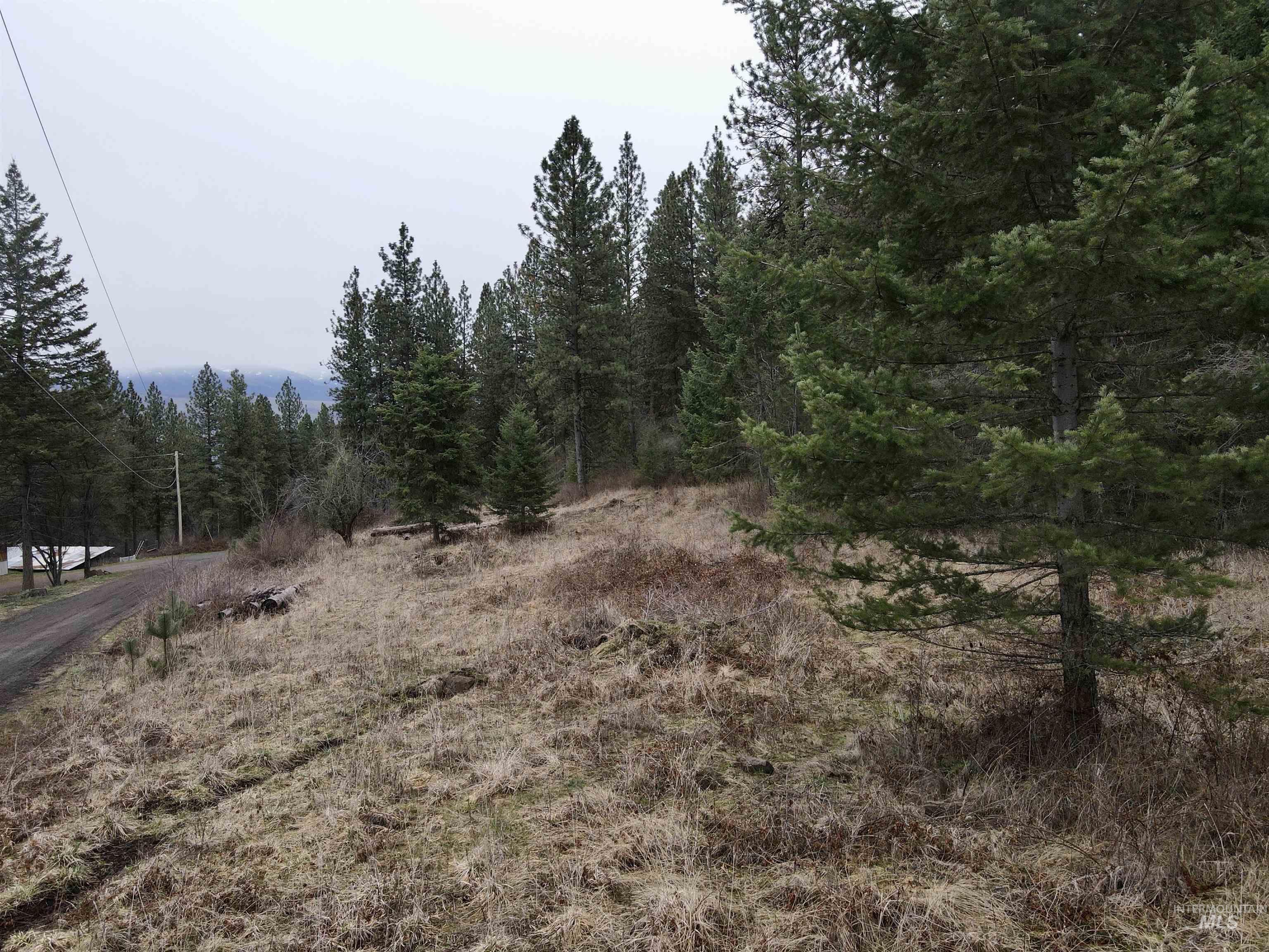 Lot 60 Twin River Ranch, White Bird, Idaho 83554, Land For Sale, Price $145,000,MLS 98904720