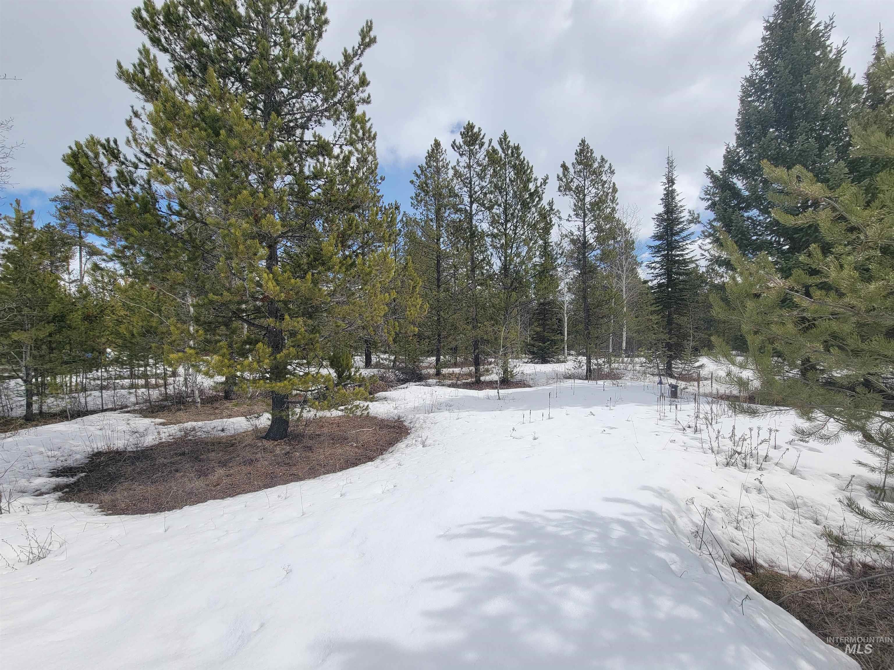 168 Jacks Loop, Donnelly, Idaho 83615, Land For Sale, Price $175,000,MLS 98904724