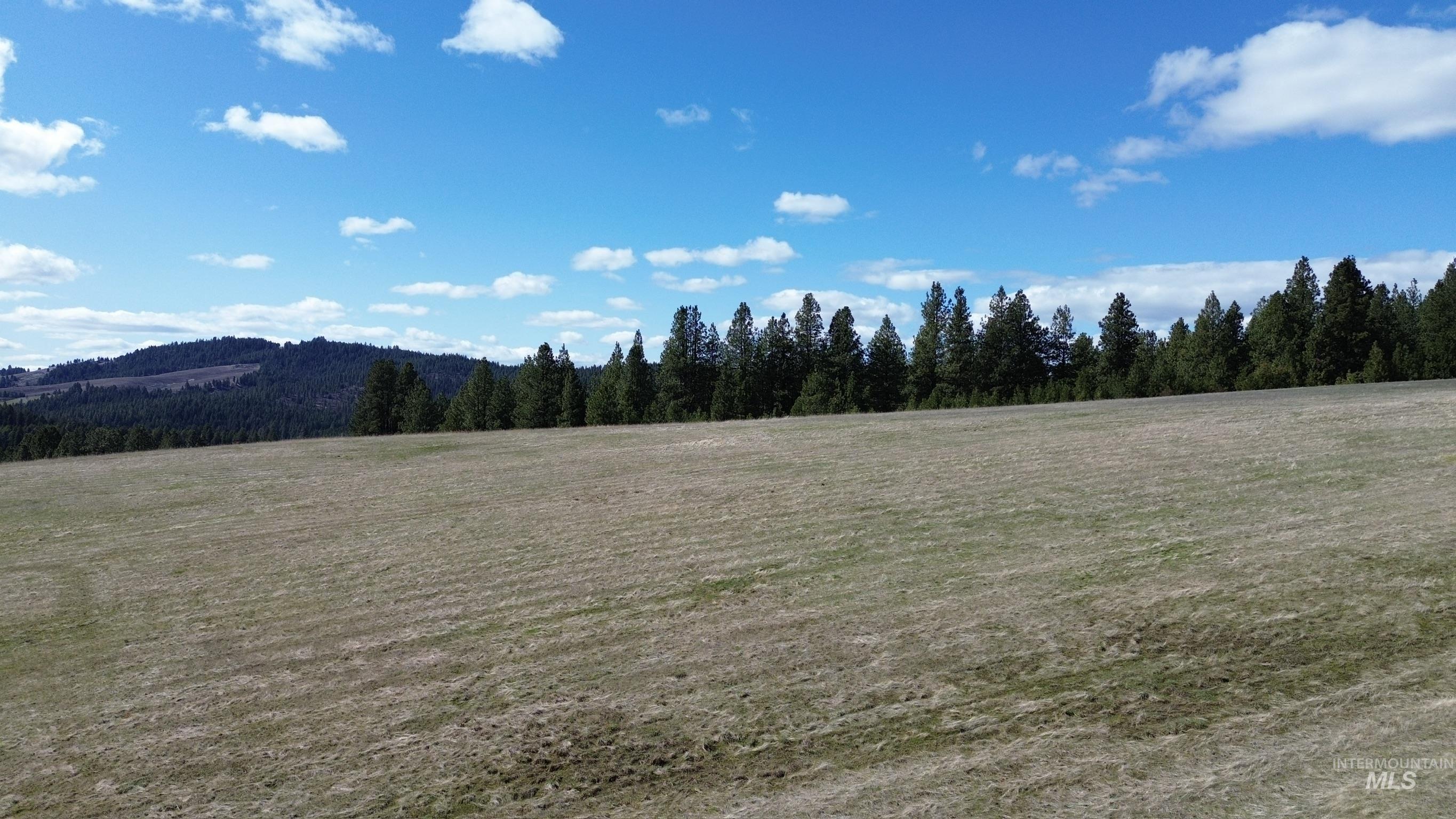 TBD Liberty Ln, Viola, Idaho 83872-5102, Land For Sale, Price $300,000, 98904915